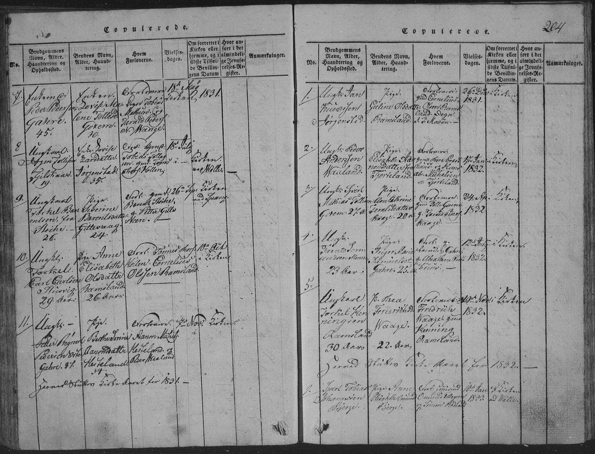 Sør-Audnedal sokneprestkontor, AV/SAK-1111-0039/F/Fb/Fba/L0001: Parish register (copy) no. B 1, 1815-1850, p. 204