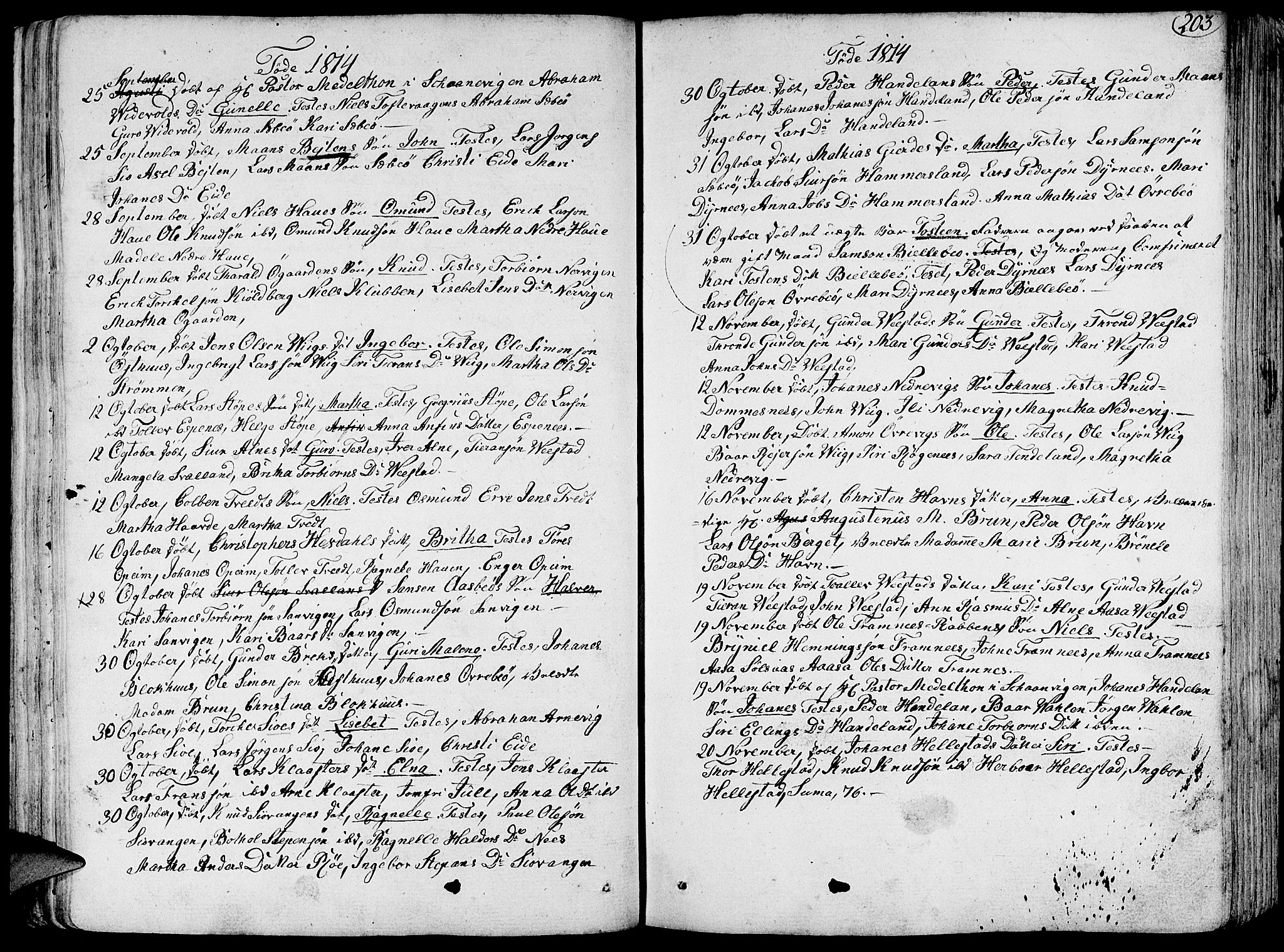 Fjelberg sokneprestembete, SAB/A-75201/H/Haa: Parish register (official) no. A 3, 1788-1815, p. 203