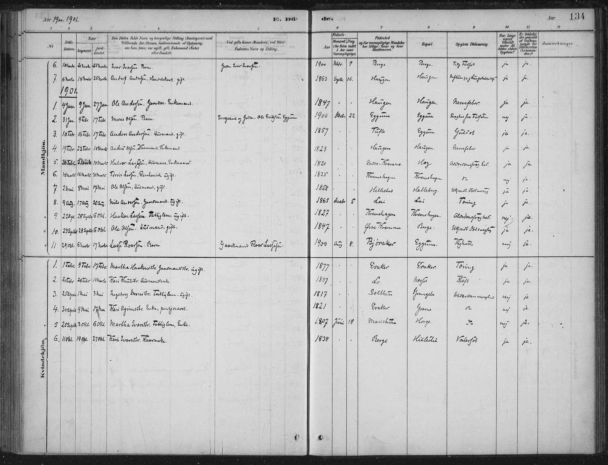 Lærdal sokneprestembete, AV/SAB-A-81201: Parish register (official) no. C  1, 1878-1911, p. 134