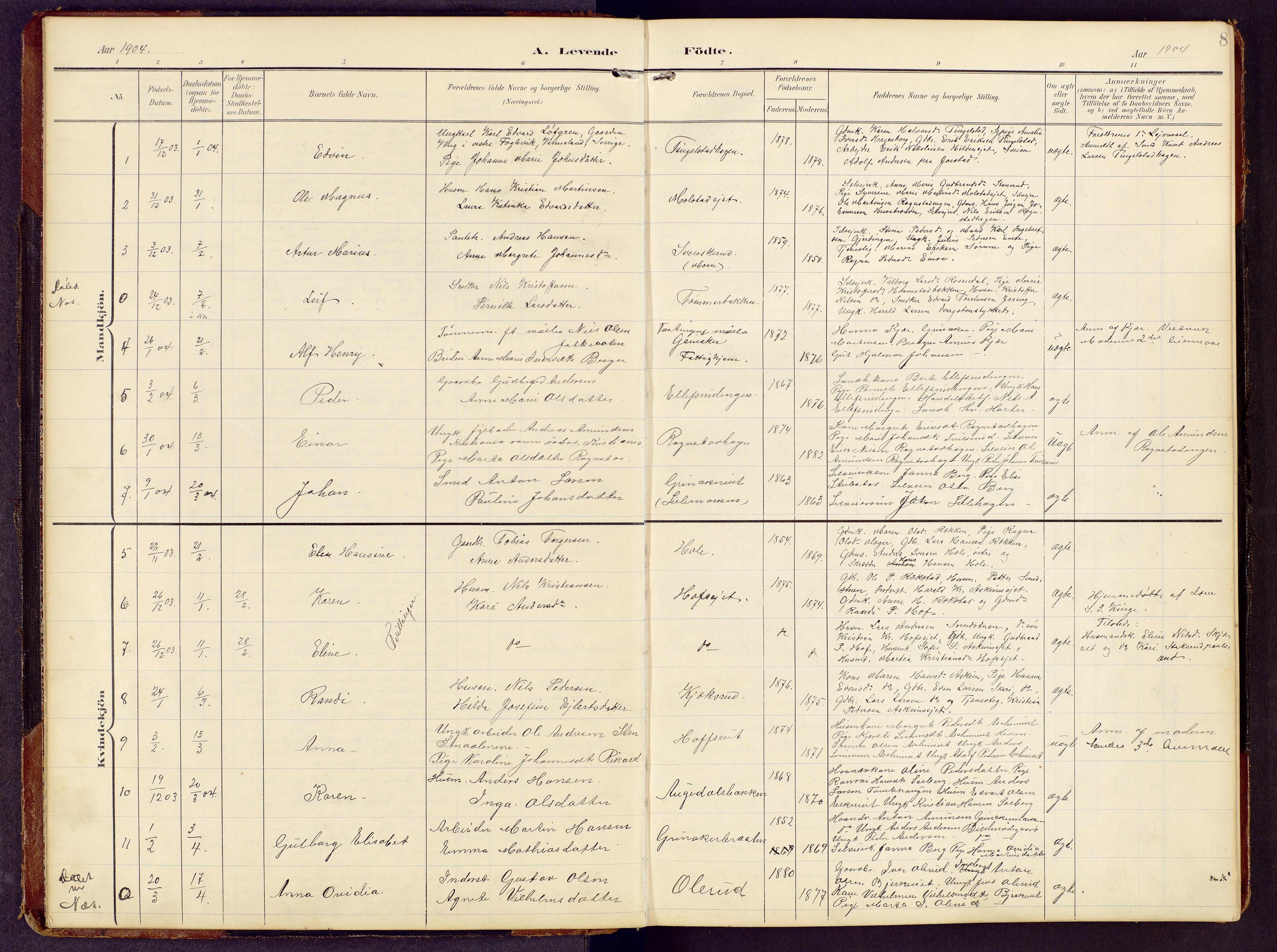 Brandbu prestekontor, SAH/PREST-114/H/Ha/Hab/L0009: Parish register (copy) no. 9, 1903-1916, p. 8