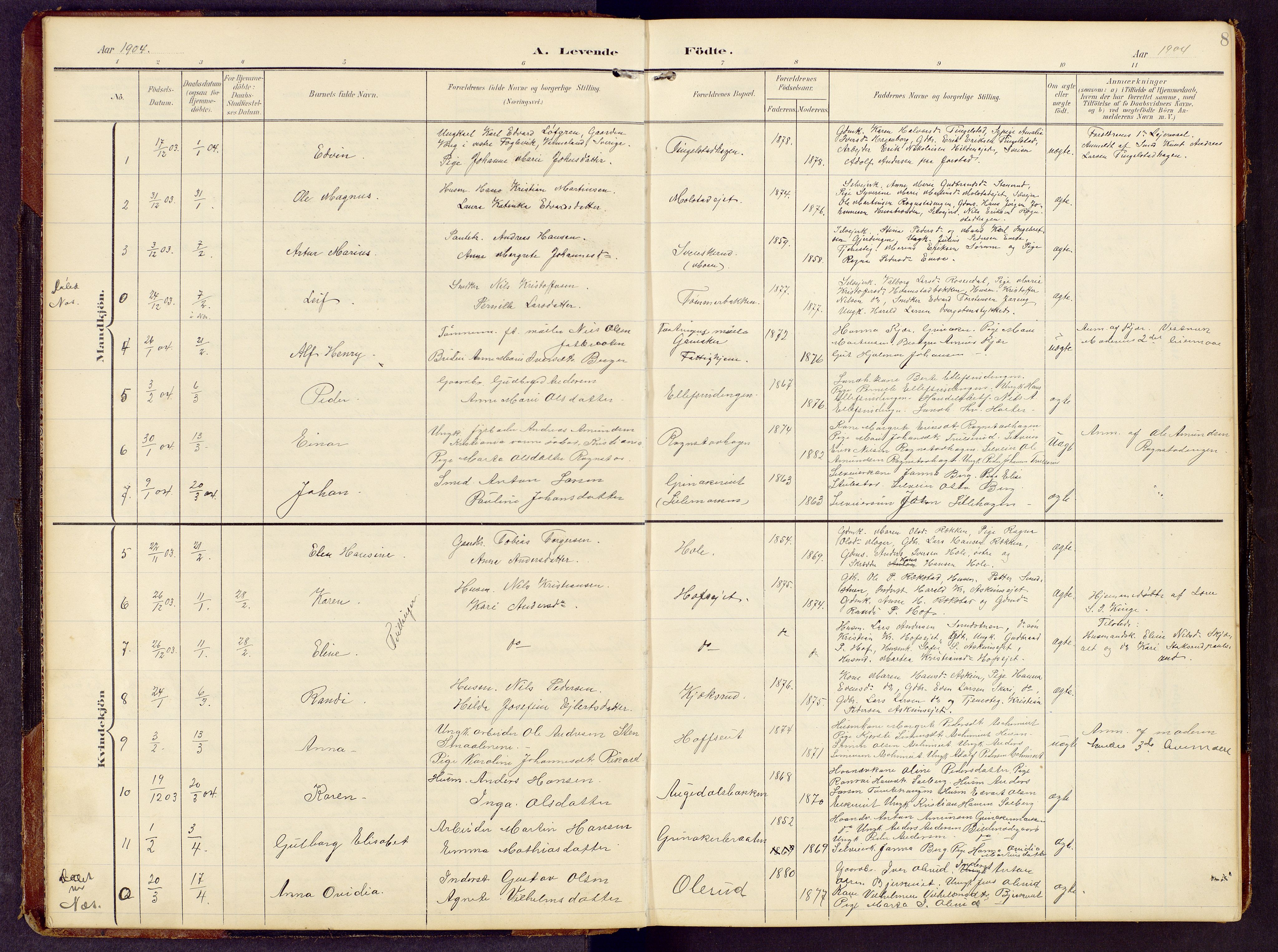 Brandbu prestekontor, AV/SAH-PREST-114/H/Ha/Hab/L0009: Parish register (copy) no. 9, 1903-1916, p. 8