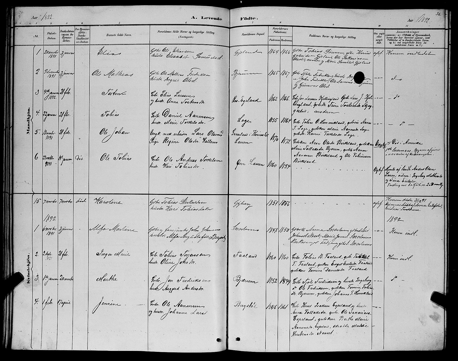 Hægebostad sokneprestkontor, AV/SAK-1111-0024/F/Fb/Fba/L0003: Parish register (copy) no. B 3, 1883-1896, p. 36