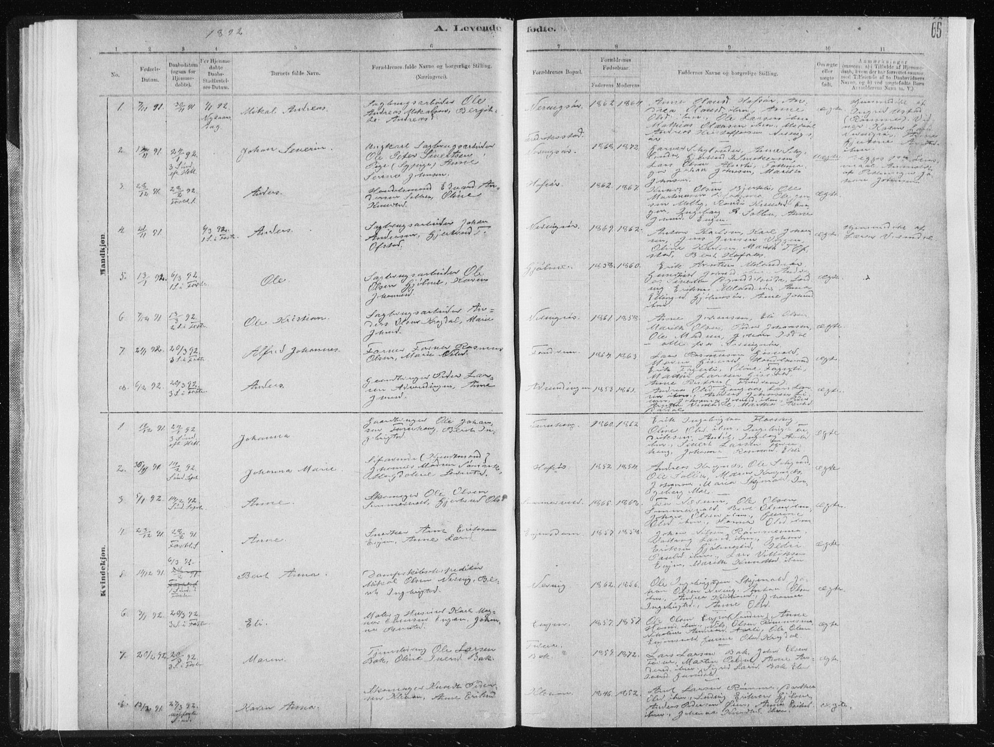 Ministerialprotokoller, klokkerbøker og fødselsregistre - Sør-Trøndelag, SAT/A-1456/668/L0818: Parish register (copy) no. 668C07, 1885-1898, p. 65