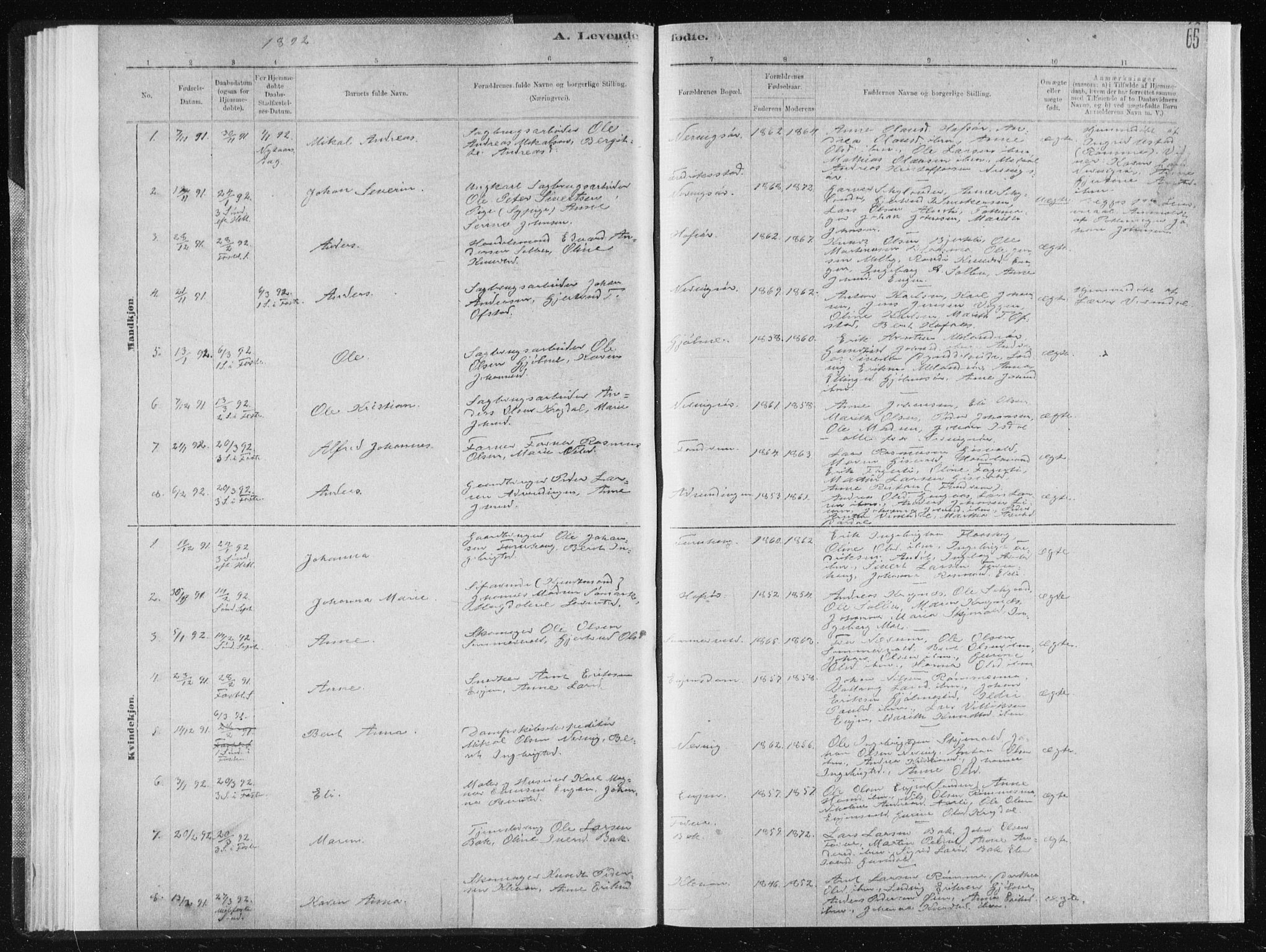 Ministerialprotokoller, klokkerbøker og fødselsregistre - Sør-Trøndelag, AV/SAT-A-1456/668/L0818: Parish register (copy) no. 668C07, 1885-1898, p. 65