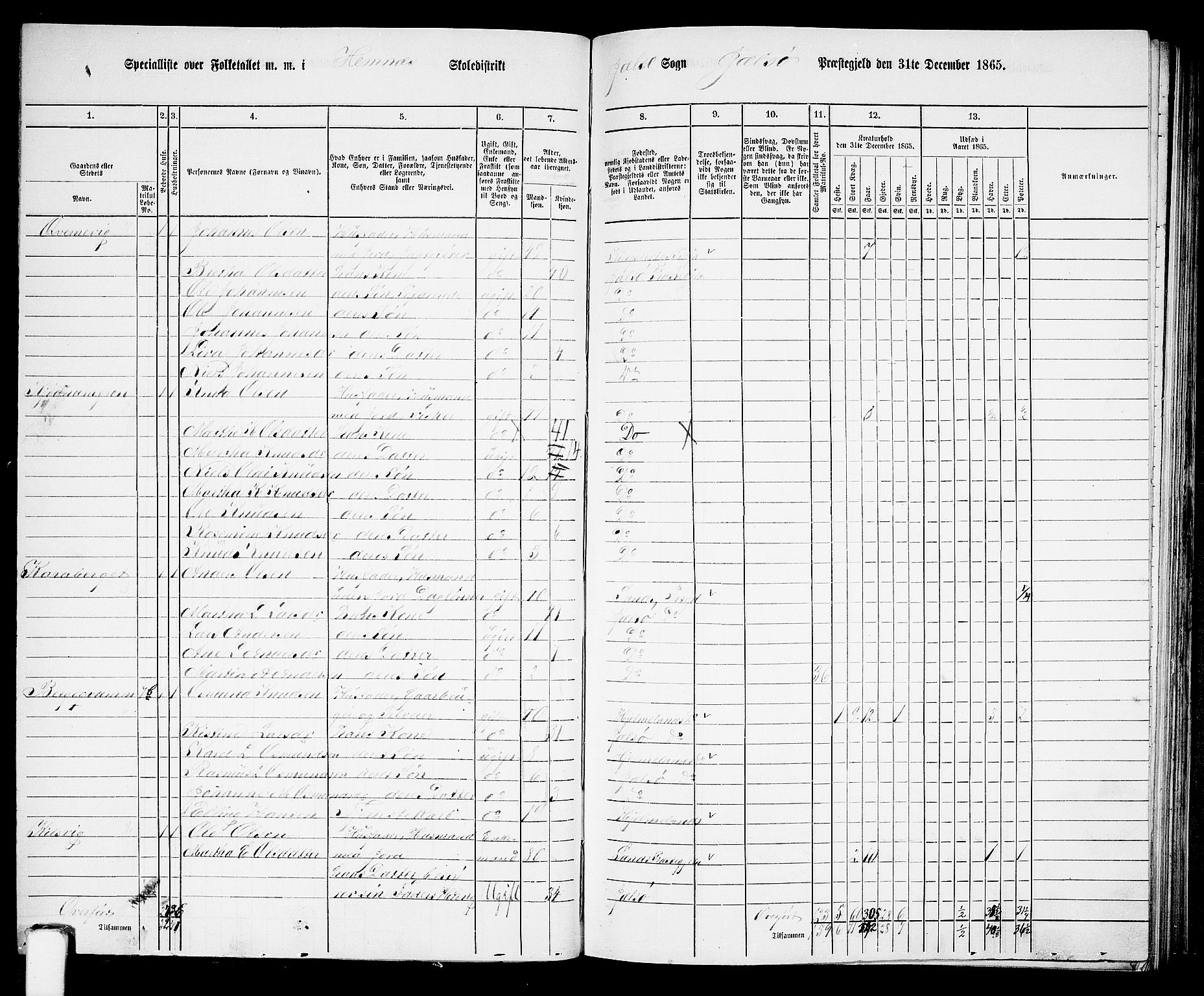 RA, 1865 census for Jelsa, 1865, p. 49