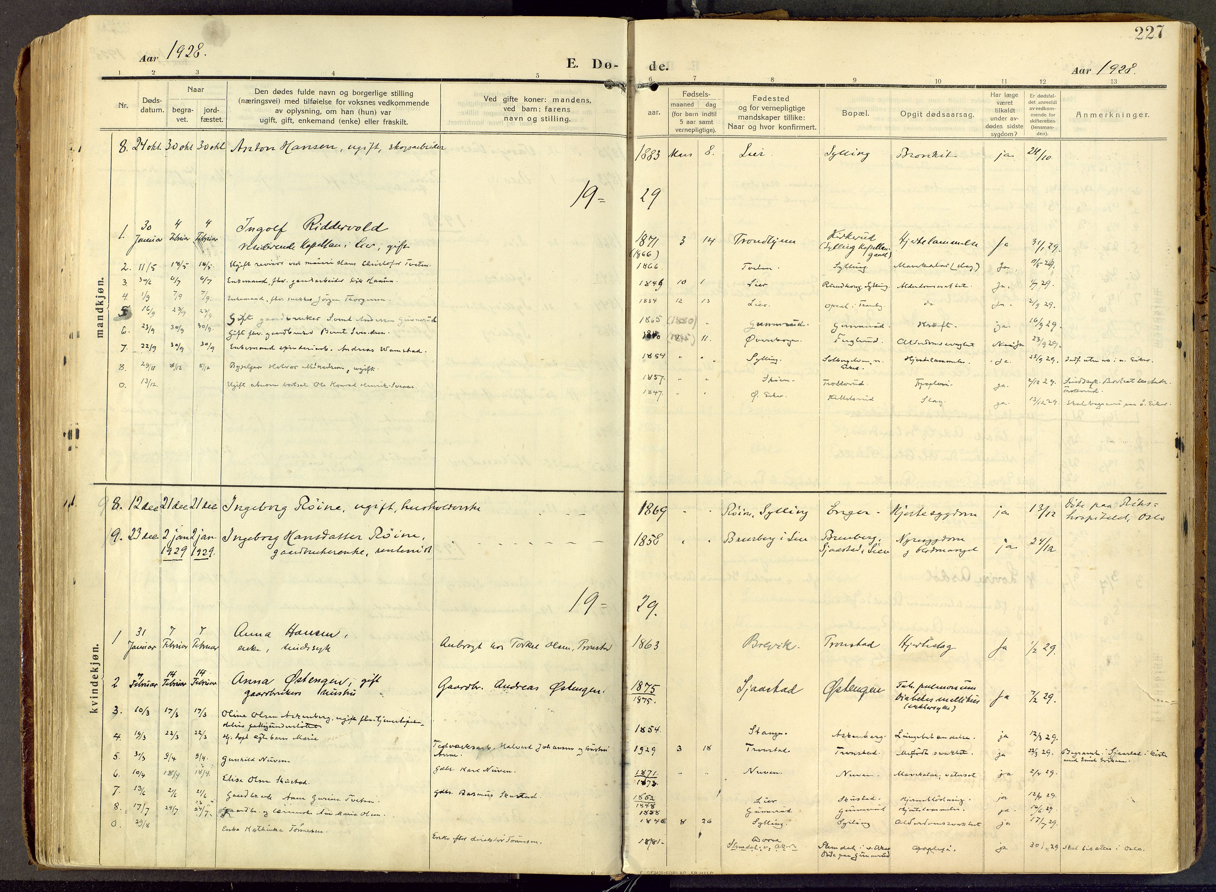 Lier kirkebøker, AV/SAKO-A-230/F/Fc/L0001: Parish register (official) no. III 1, 1906-1936, p. 227