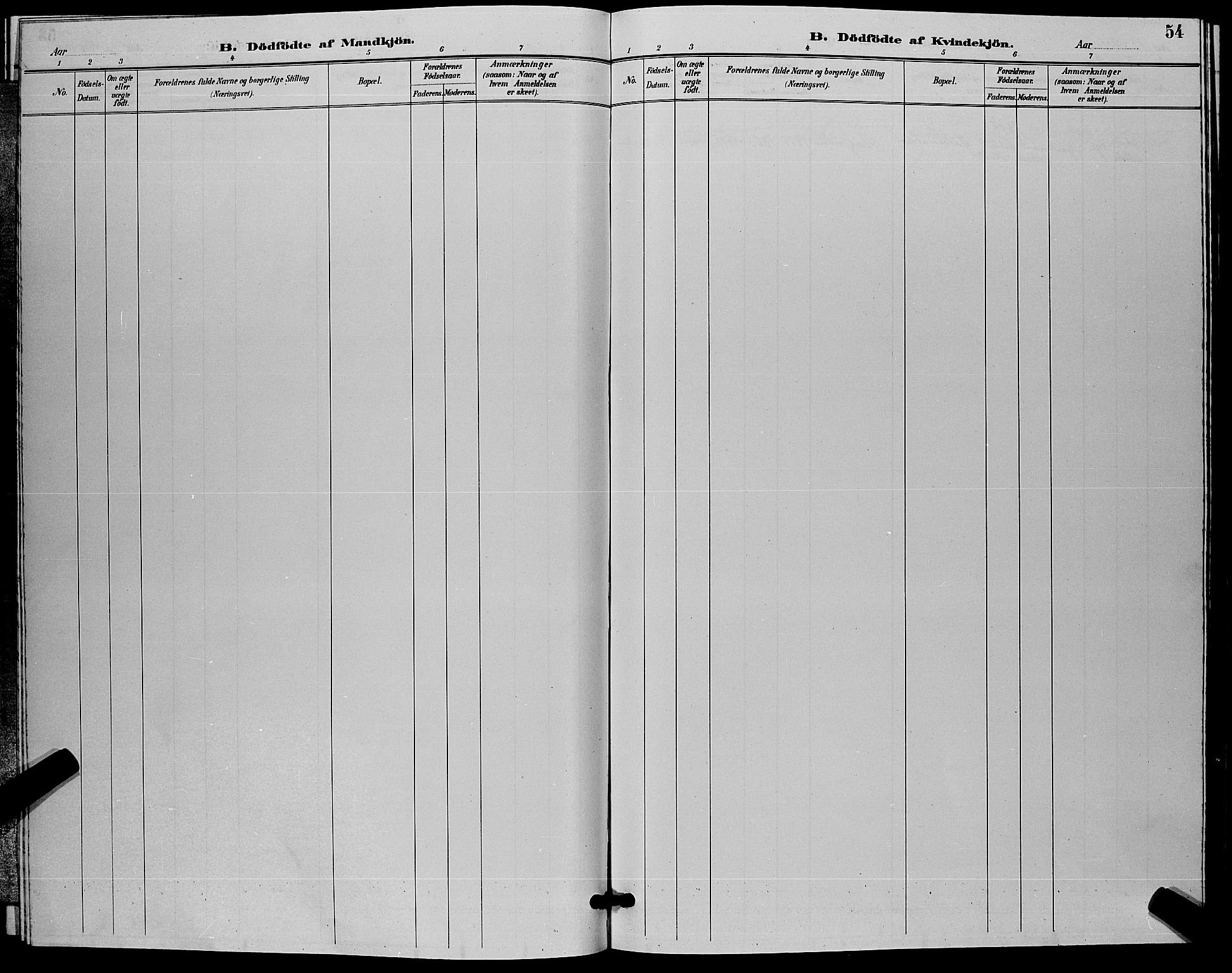 Flesberg kirkebøker, AV/SAKO-A-18/G/Ga/L0004: Parish register (copy) no. I 4 /2, 1890-1898, p. 54