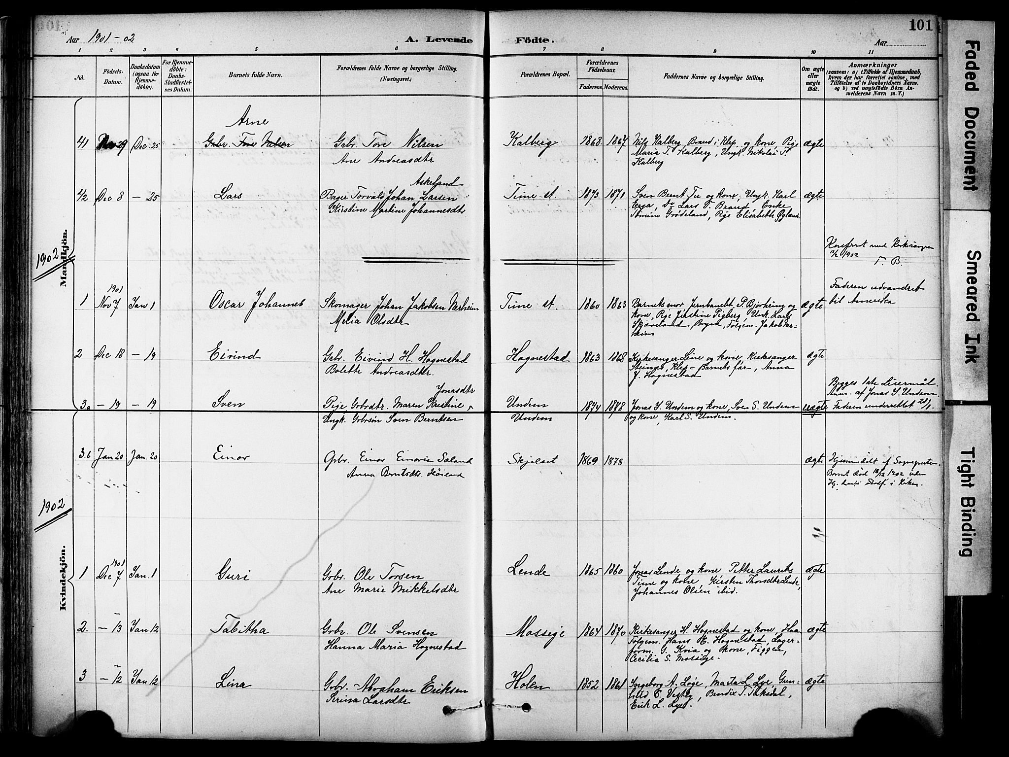 Lye sokneprestkontor, SAST/A-101794/001/30BA/L0011: Parish register (official) no. A 9, 1893-1903, p. 101