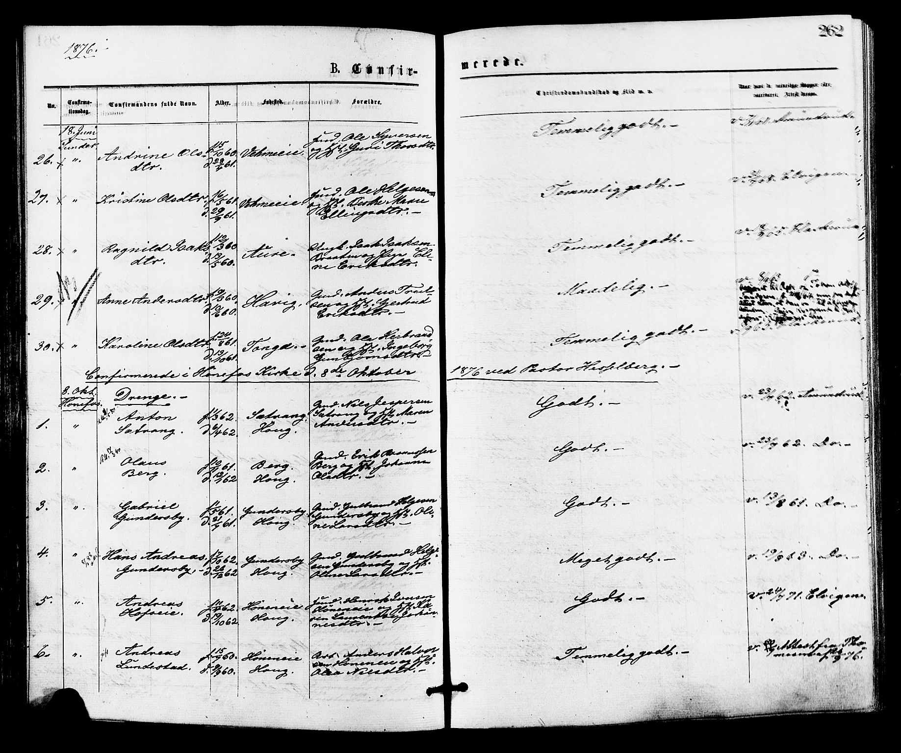 Norderhov kirkebøker, AV/SAKO-A-237/F/Fa/L0015: Parish register (official) no. 15, 1875-1884, p. 262