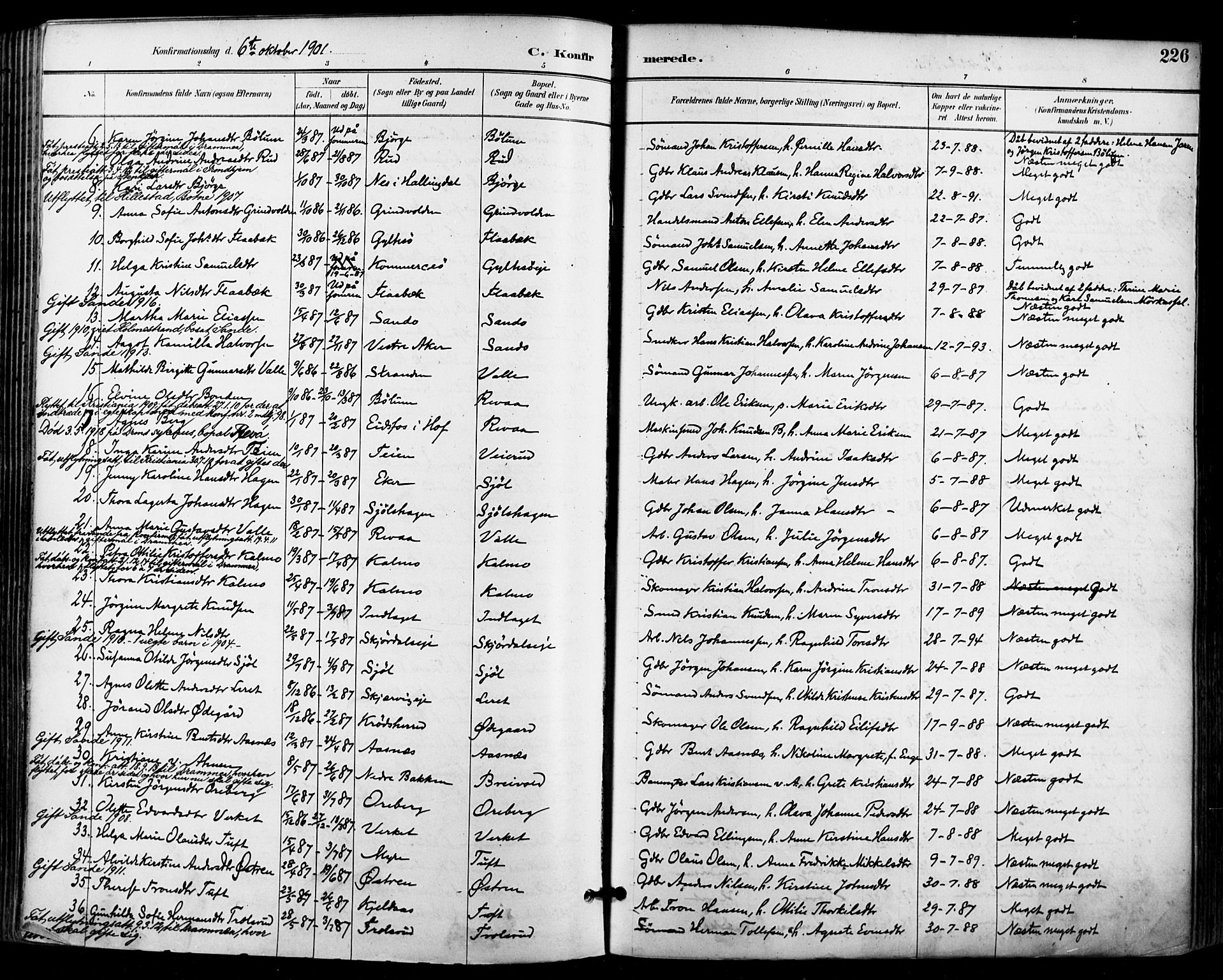 Sande Kirkebøker, AV/SAKO-A-53/F/Fa/L0007: Parish register (official) no. 7, 1888-1903, p. 226