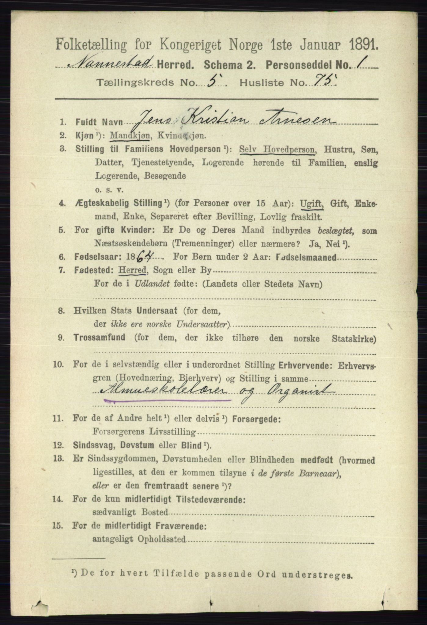 RA, 1891 census for 0238 Nannestad, 1891, p. 2994