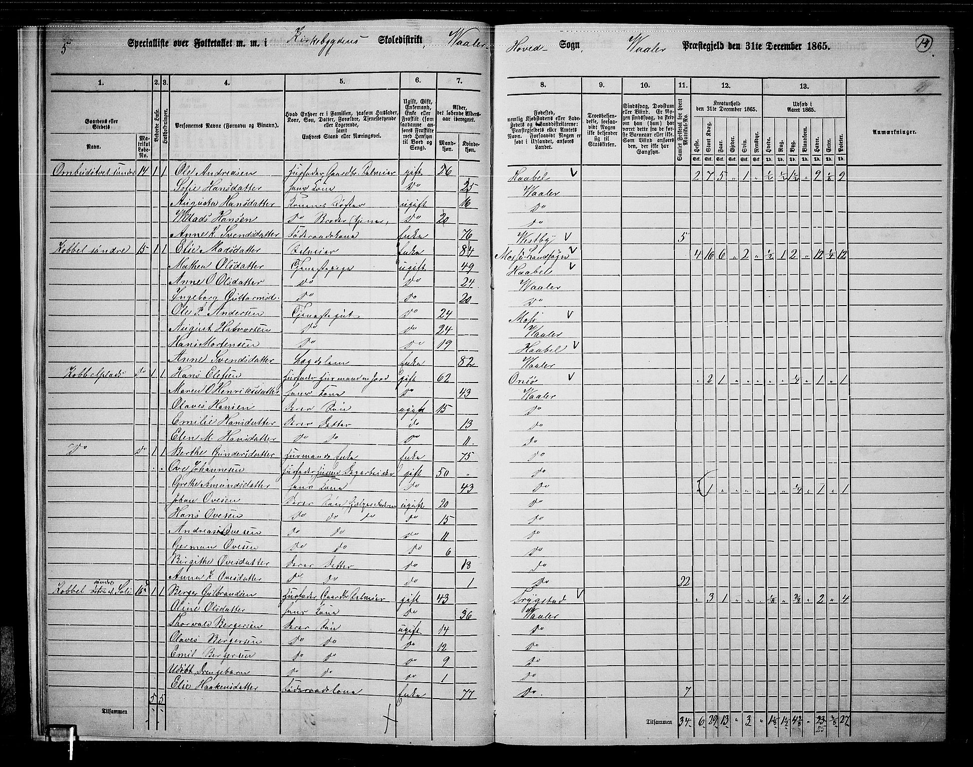 RA, 1865 census for Våler, 1865, p. 15