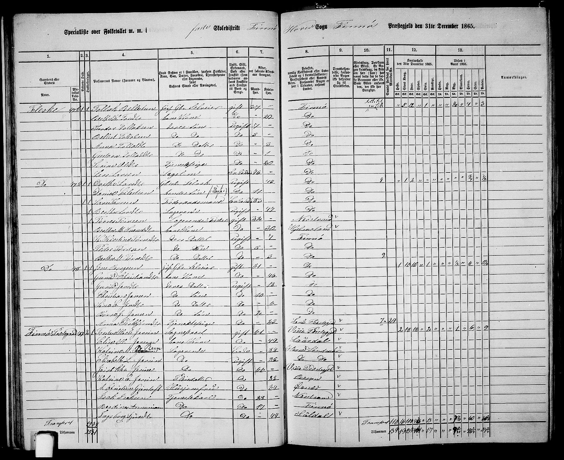 RA, 1865 census for Finnøy, 1865, p. 29