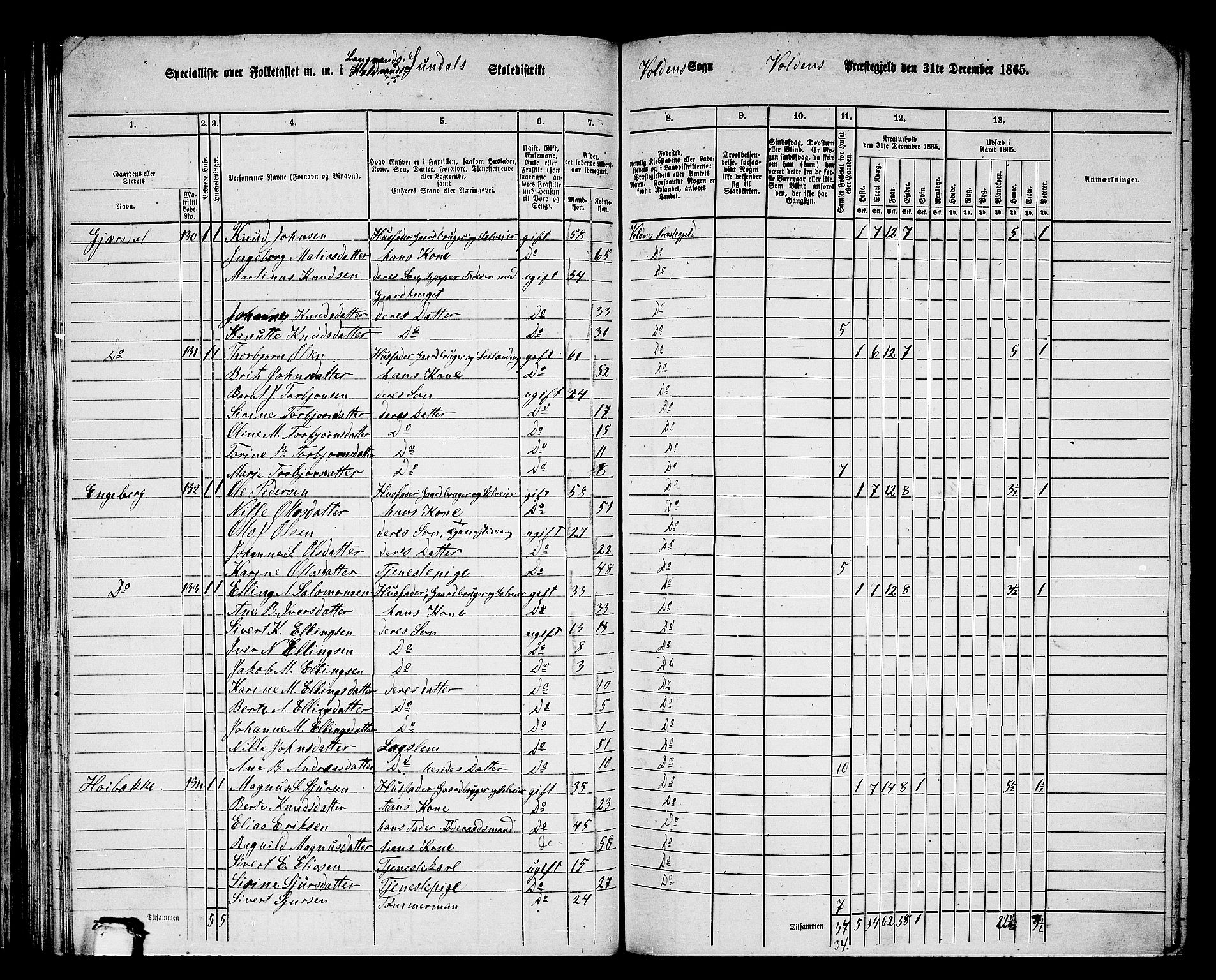 RA, 1865 census for Volda, 1865, p. 81