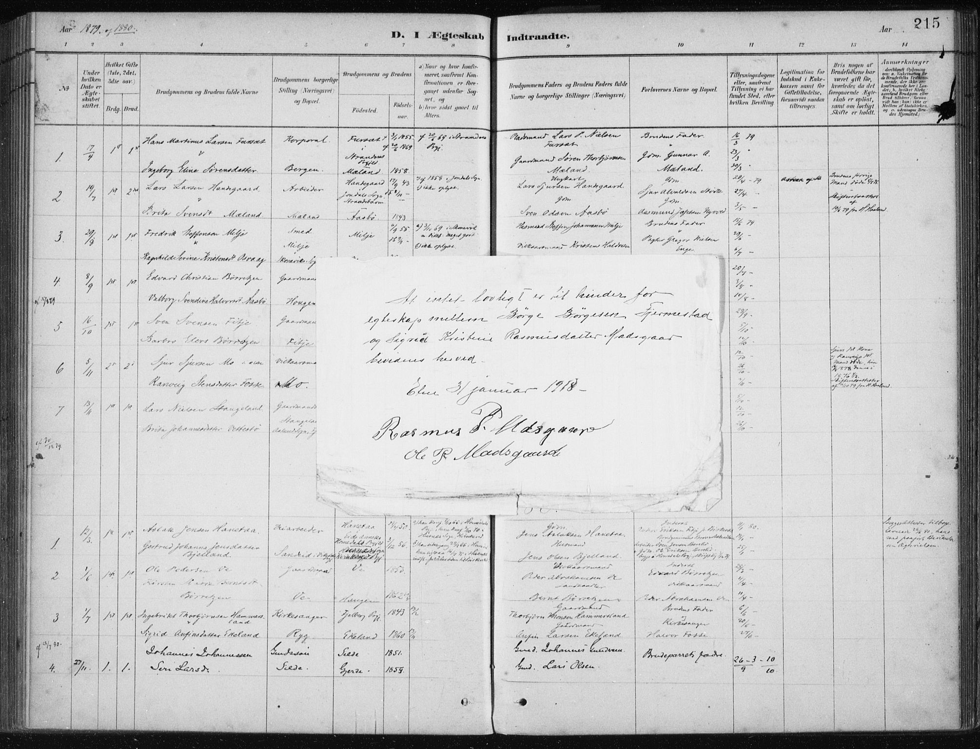 Etne sokneprestembete, SAB/A-75001/H/Haa: Parish register (official) no. C  1, 1879-1919, p. 215