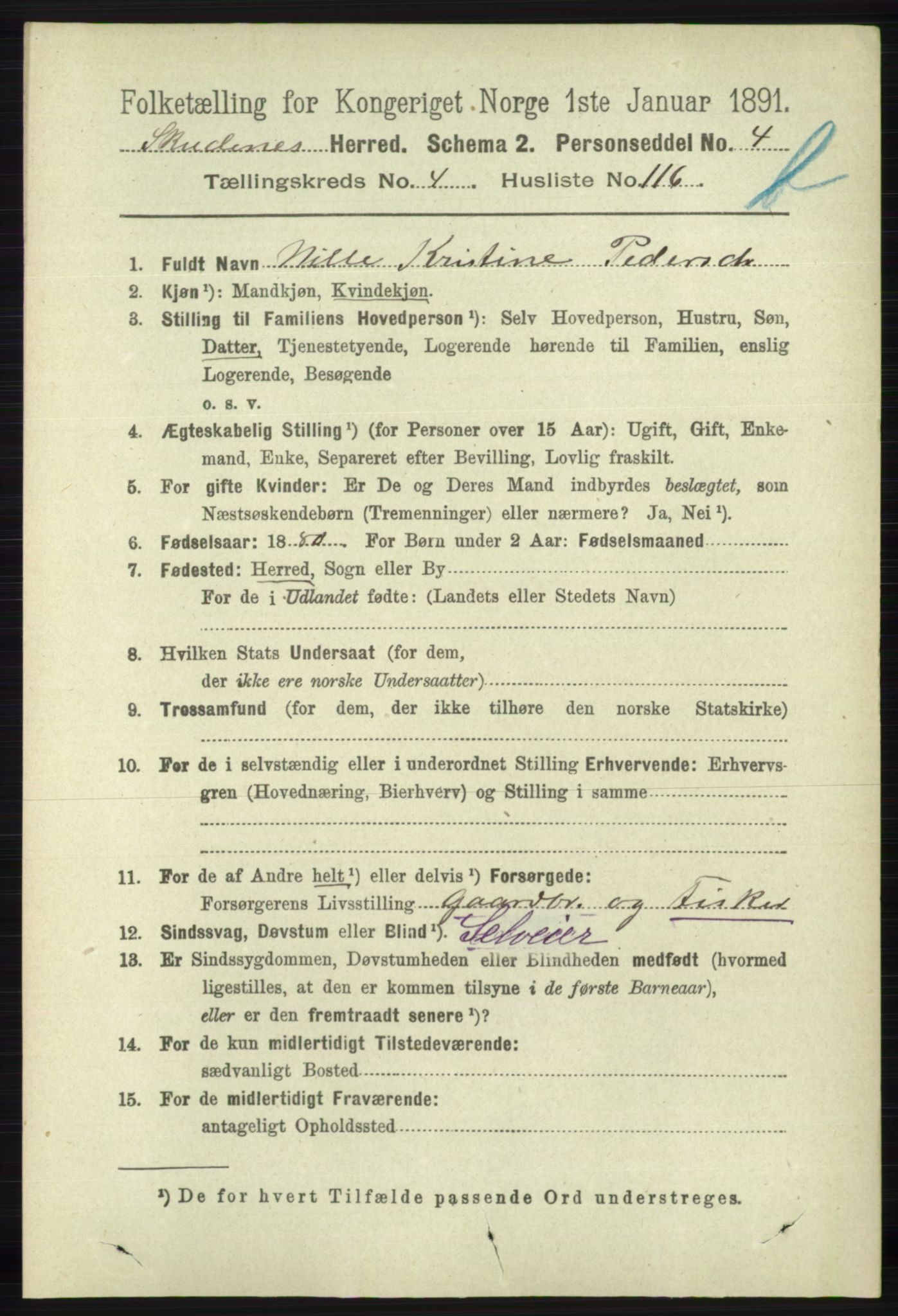 RA, 1891 census for 1150 Skudenes, 1891, p. 5157