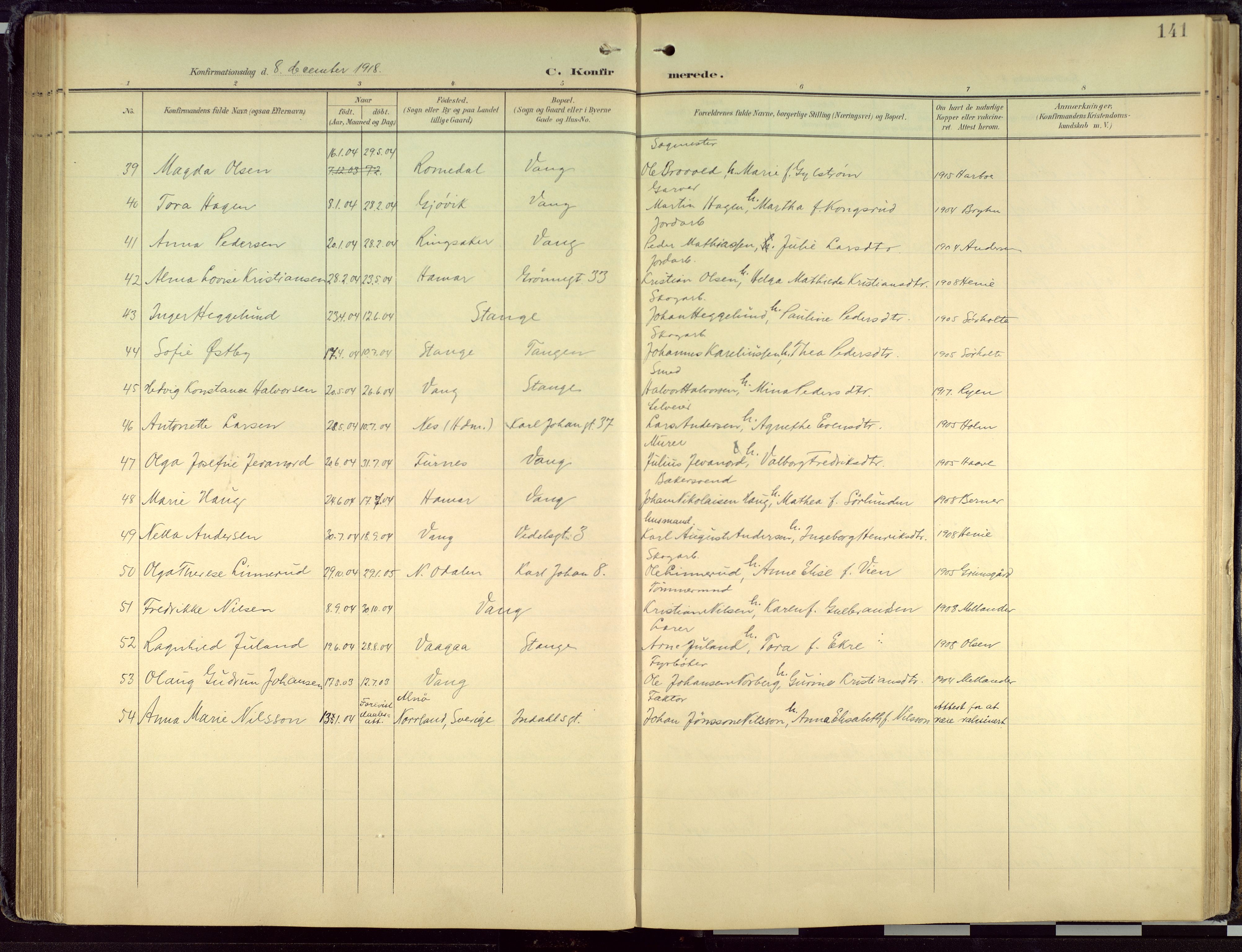 Hamar prestekontor, AV/SAH-DOMPH-002/H/Ha/Haa/L0004: Parish register (official) no. 4, 1899-1973, p. 141