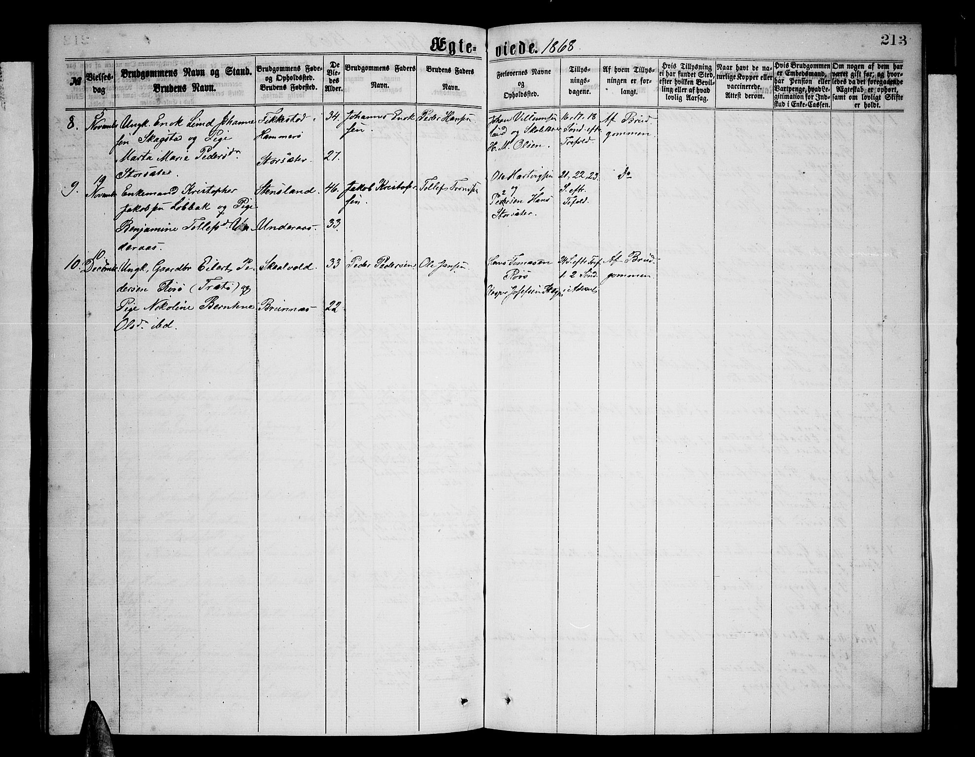 Ministerialprotokoller, klokkerbøker og fødselsregistre - Nordland, AV/SAT-A-1459/855/L0815: Parish register (copy) no. 855C04, 1865-1878, p. 213