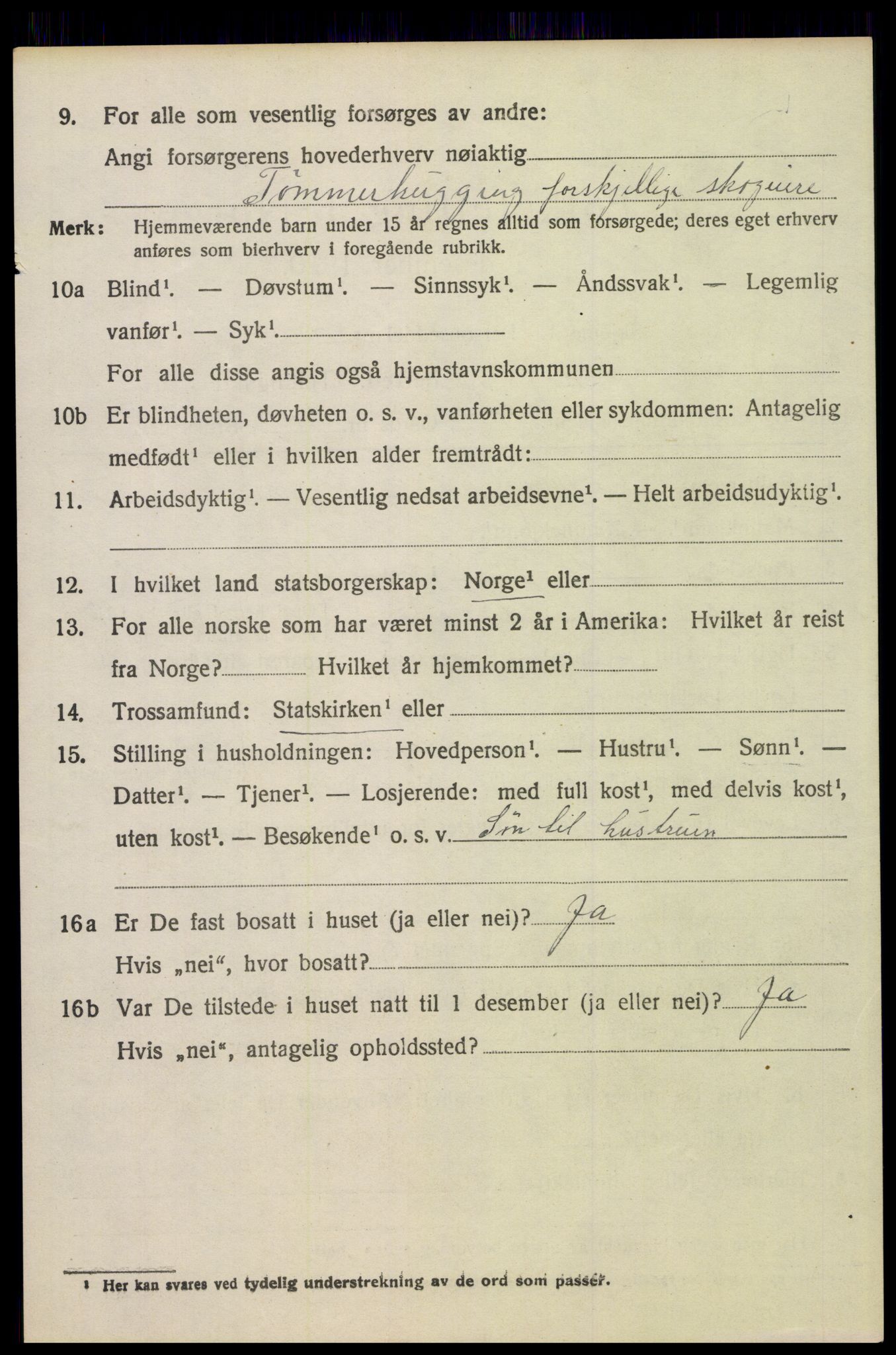 SAH, 1920 census for Trysil, 1920, p. 14644