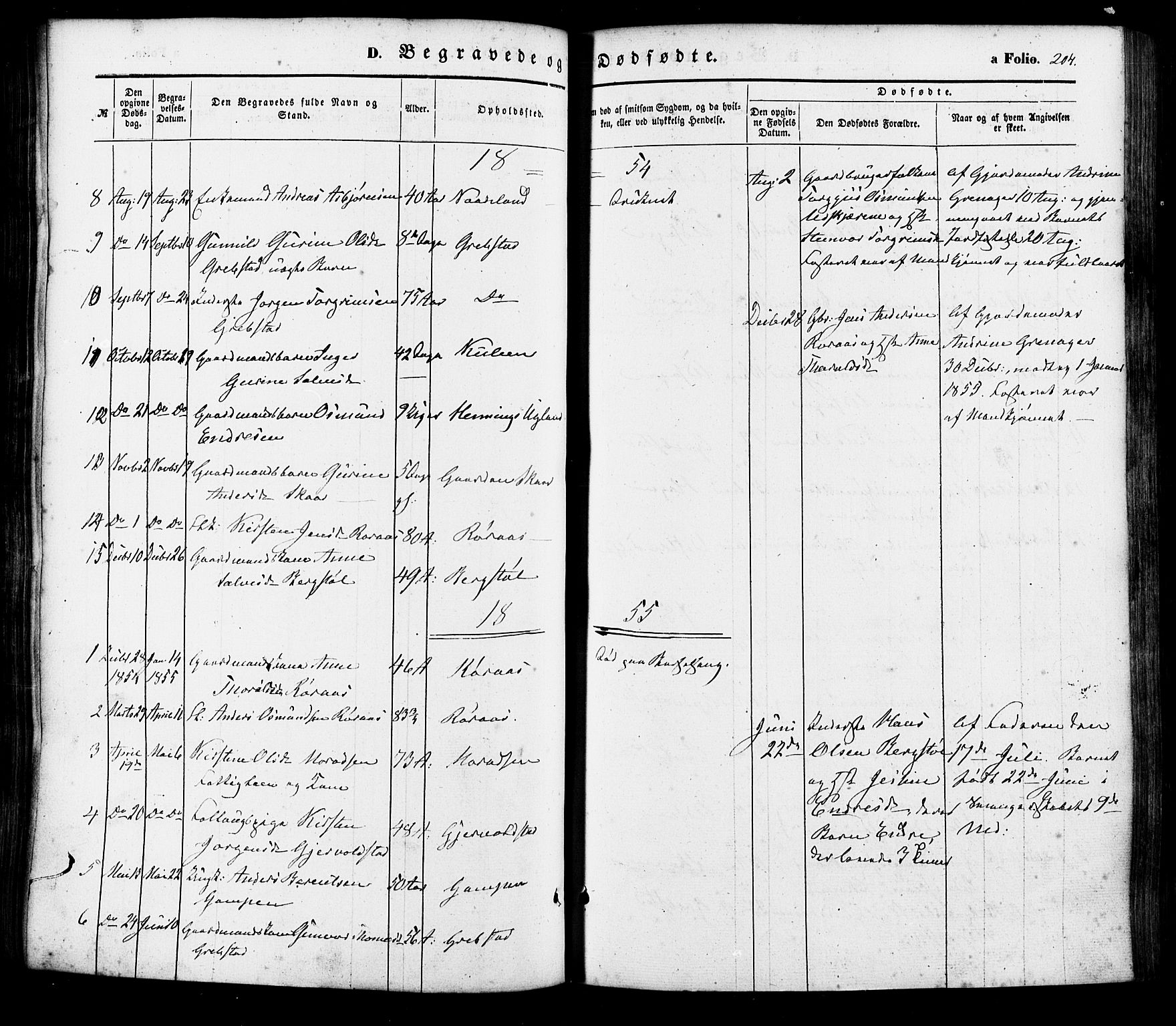 Søgne sokneprestkontor, AV/SAK-1111-0037/F/Fa/Faa/L0002: Parish register (official) no. A 2, 1854-1882, p. 204