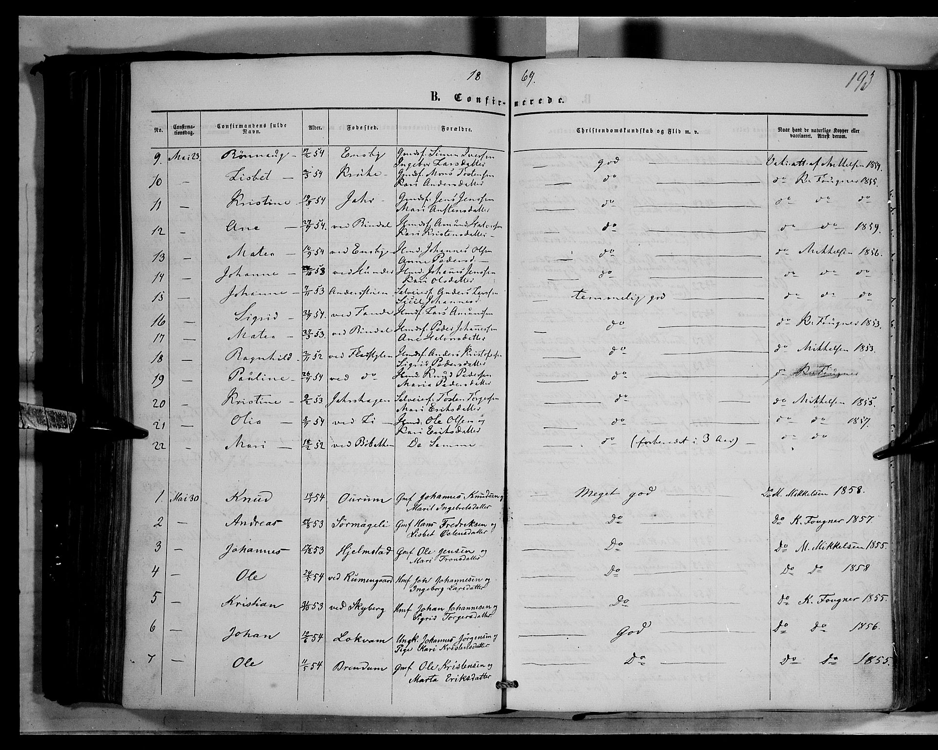 Øyer prestekontor, AV/SAH-PREST-084/H/Ha/Haa/L0006: Parish register (official) no. 6, 1858-1874, p. 193