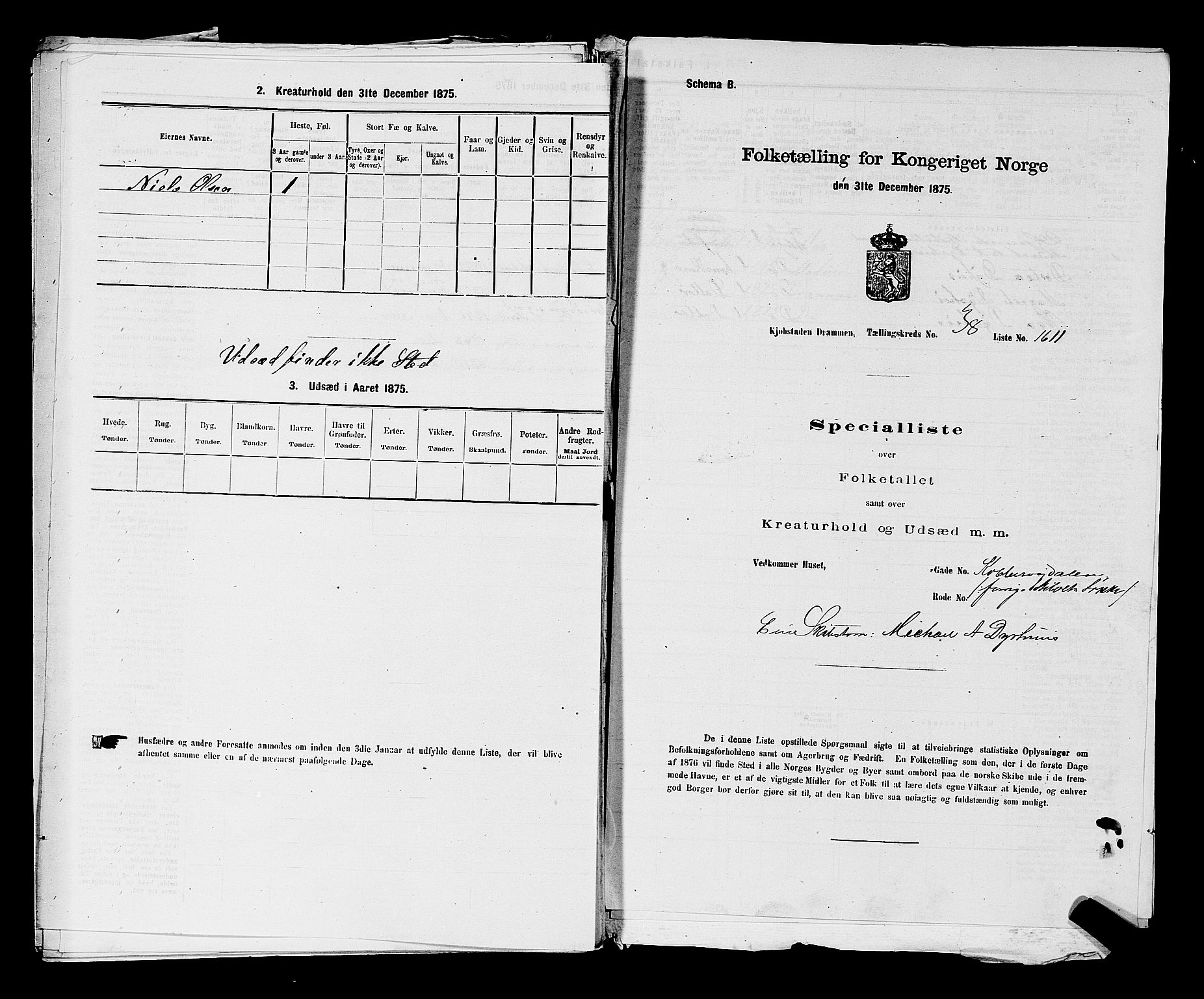 SAKO, 1875 census for 0602 Drammen, 1875, p. 3305