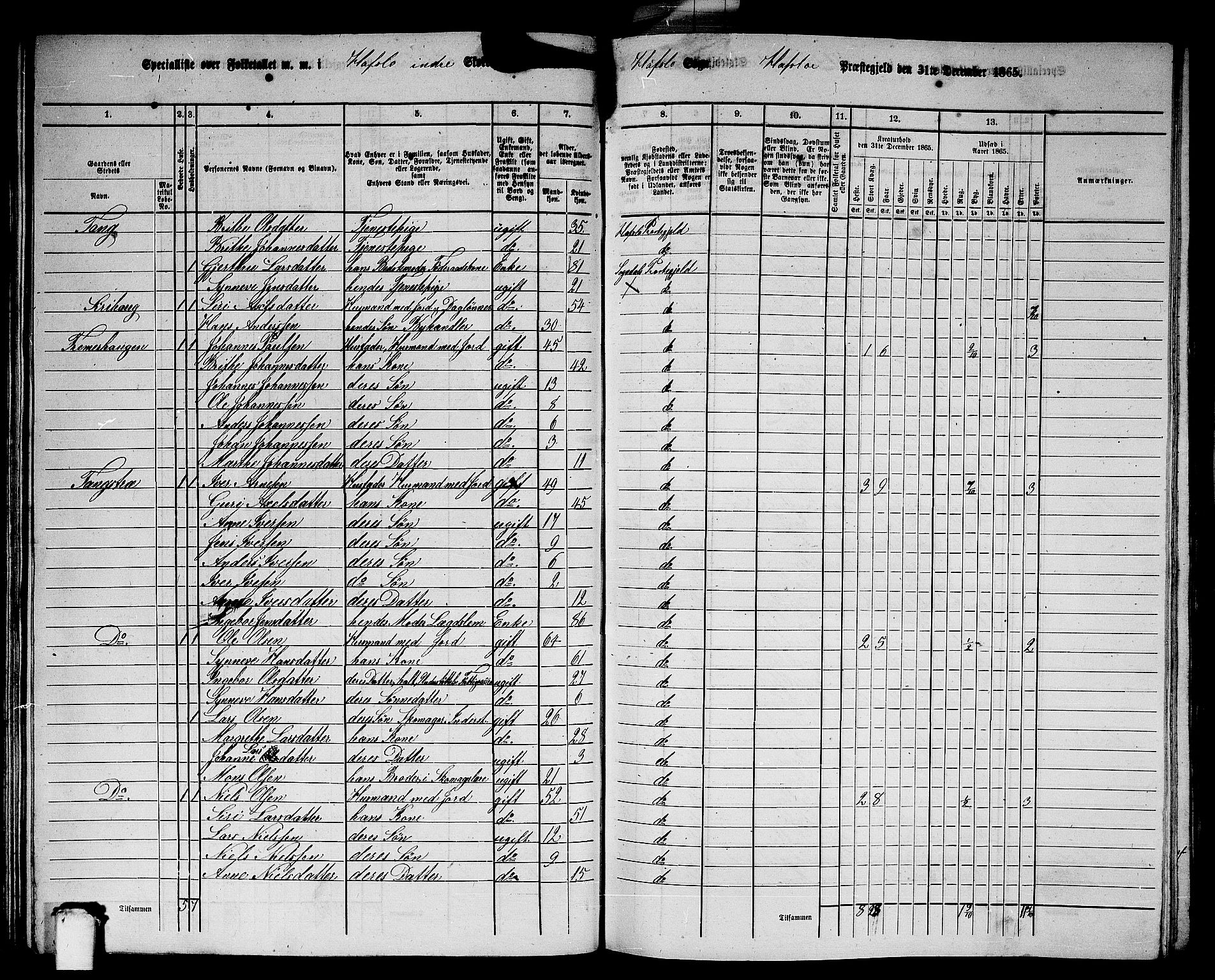 RA, 1865 census for Hafslo, 1865, p. 45