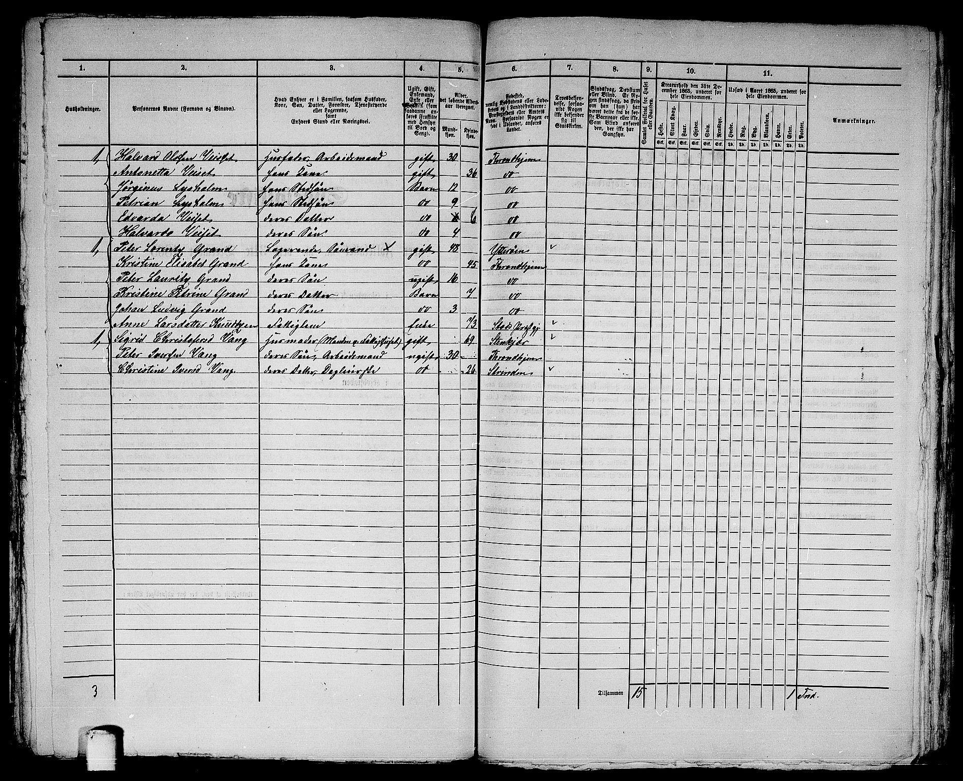 RA, 1865 census for Trondheim, 1865, p. 2999