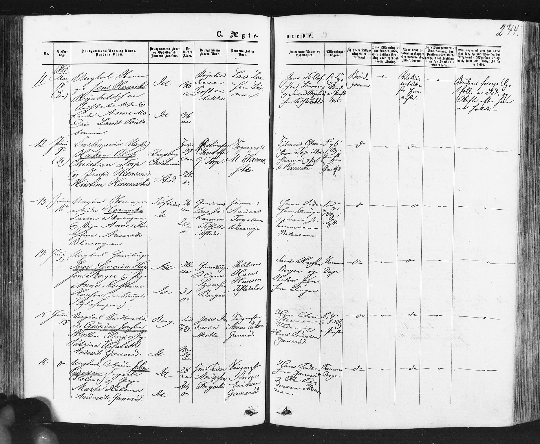 Idd prestekontor Kirkebøker, SAO/A-10911/F/Fc/L0005: Parish register (official) no. III 5, 1861-1877, p. 244