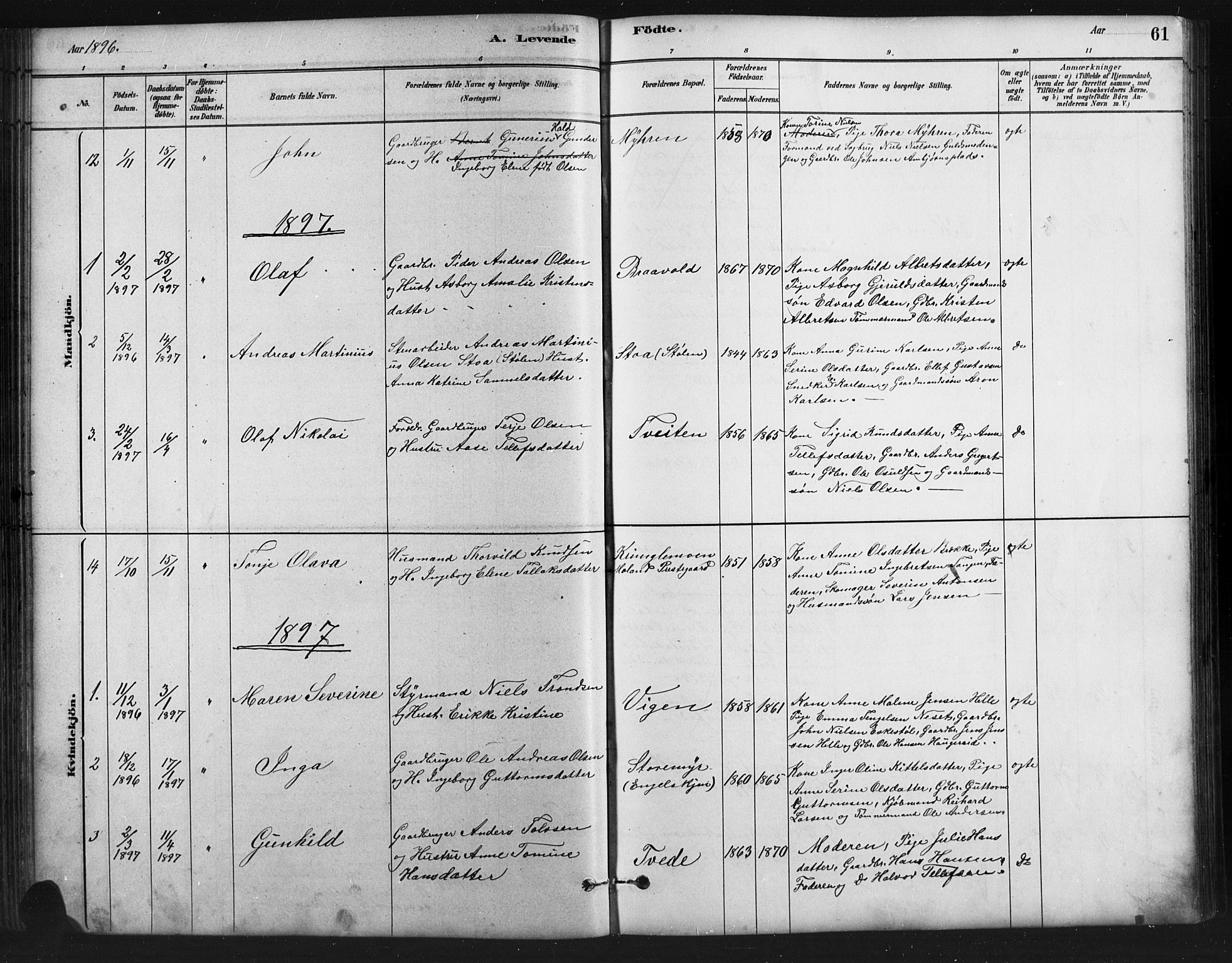 Austre Moland sokneprestkontor, SAK/1111-0001/F/Fb/Fba/L0003: Parish register (copy) no. B 3, 1879-1914, p. 61