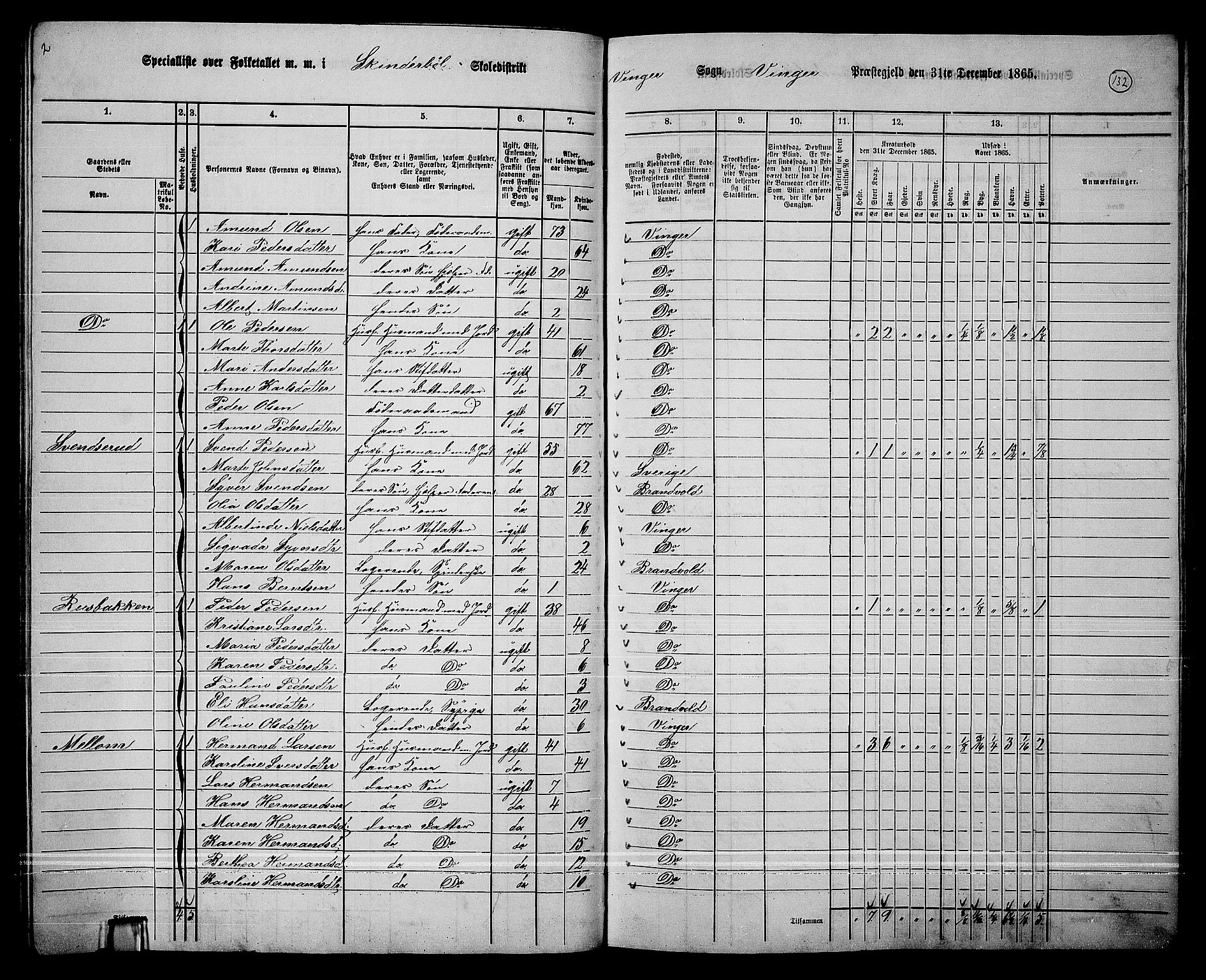 RA, 1865 census for Vinger/Vinger og Austmarka, 1865, p. 120