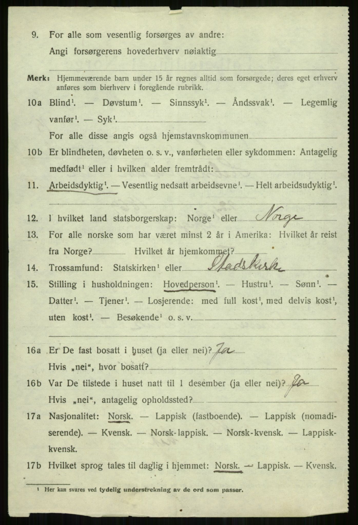 SATØ, 1920 census for Lyngen, 1920, p. 12856