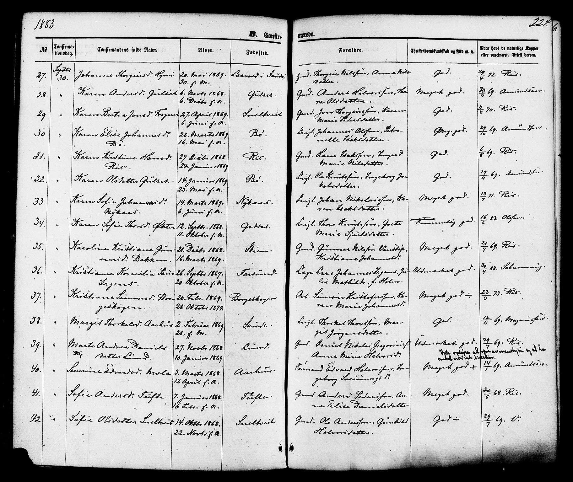Gjerpen kirkebøker, SAKO/A-265/F/Fa/L0009: Parish register (official) no. I 9, 1872-1885, p. 224