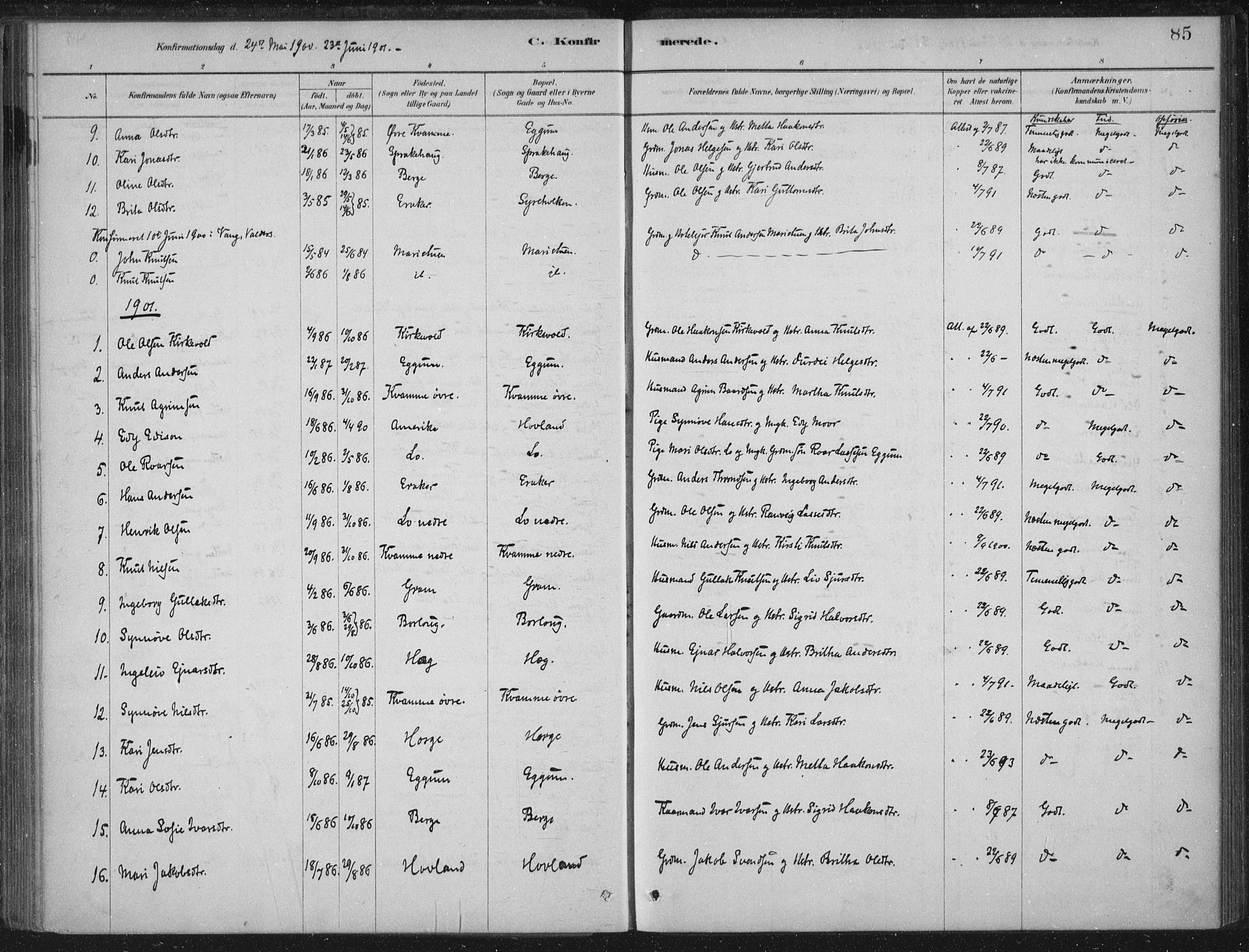 Lærdal sokneprestembete, AV/SAB-A-81201: Parish register (official) no. C  1, 1878-1911, p. 85