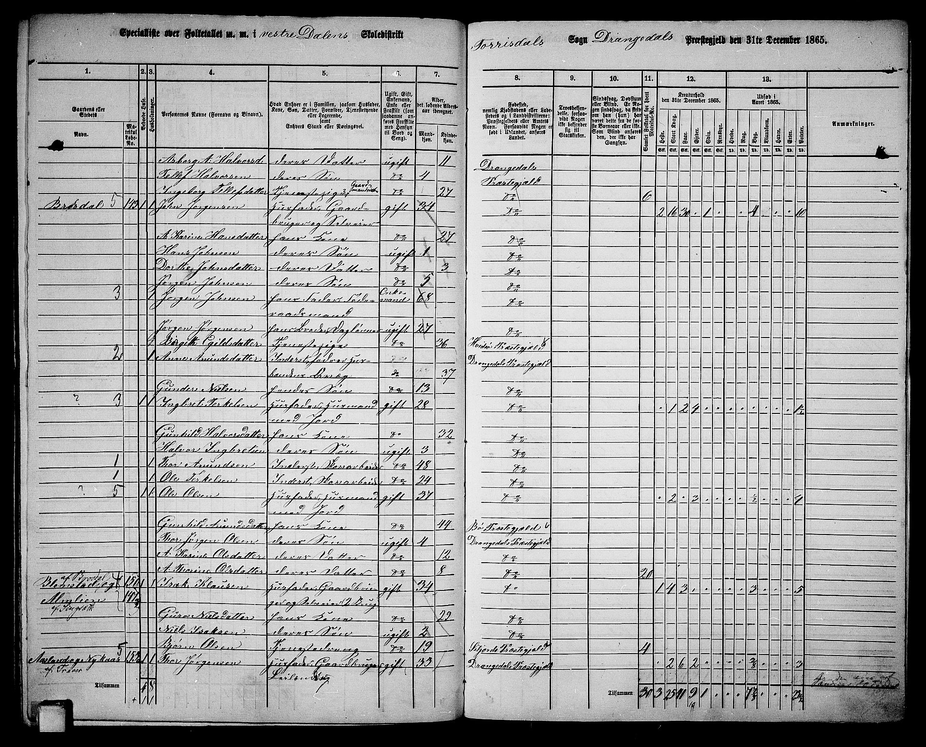 RA, 1865 census for Drangedal, 1865, p. 135