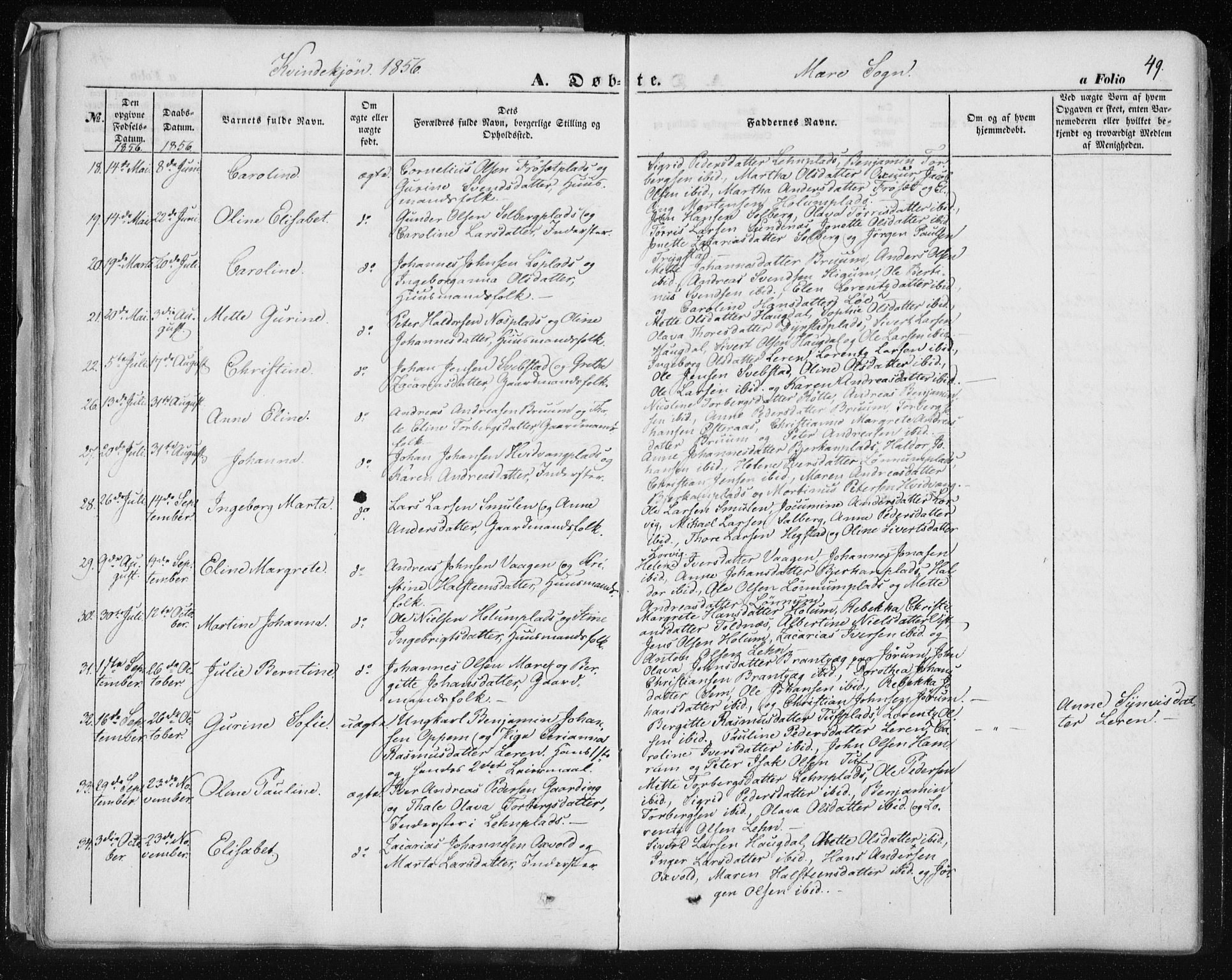 Ministerialprotokoller, klokkerbøker og fødselsregistre - Nord-Trøndelag, AV/SAT-A-1458/735/L0342: Parish register (official) no. 735A07 /1, 1849-1862, p. 49