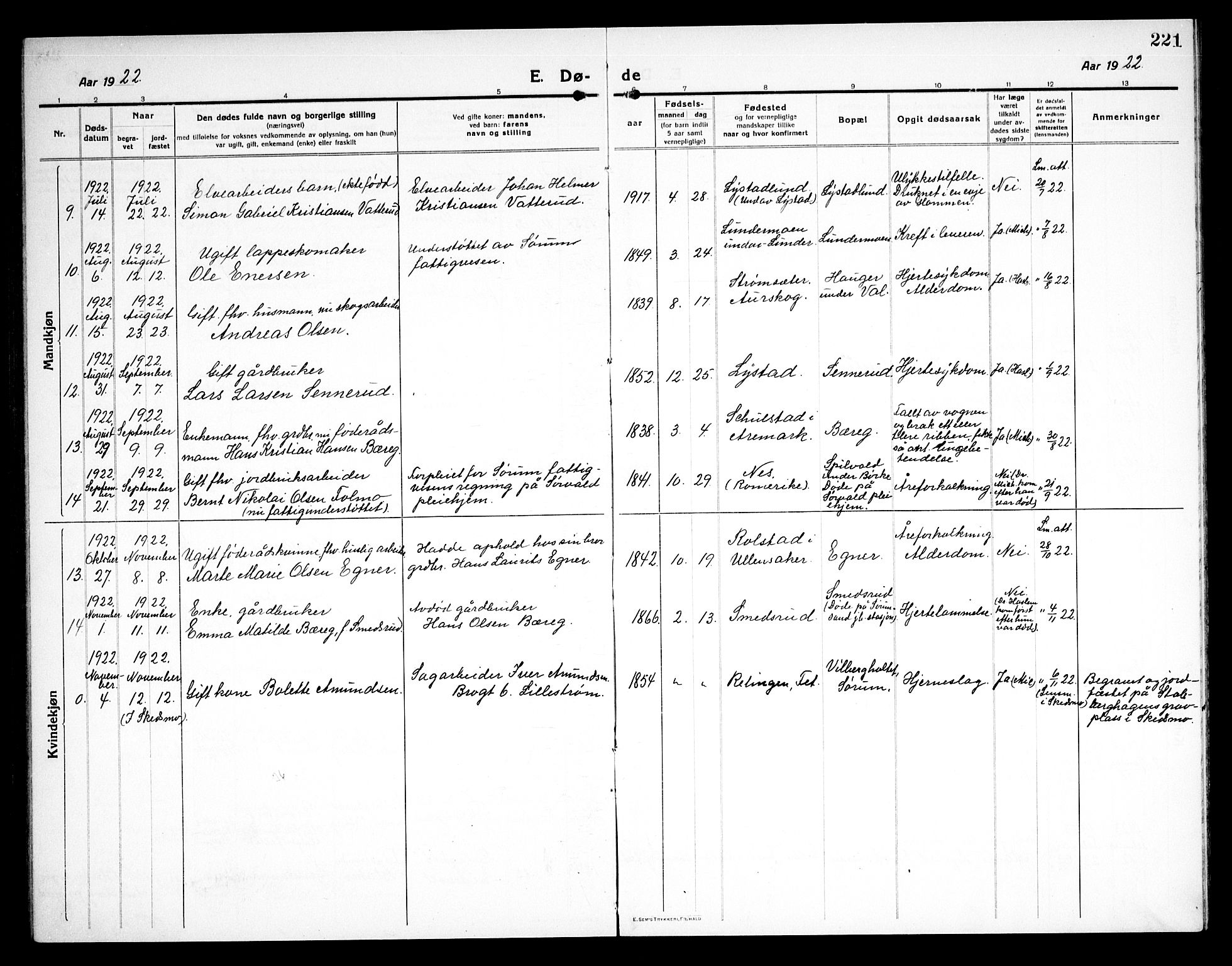 Sørum prestekontor Kirkebøker, AV/SAO-A-10303/G/Ga/L0008: Parish register (copy) no. I 8, 1917-1934, p. 221