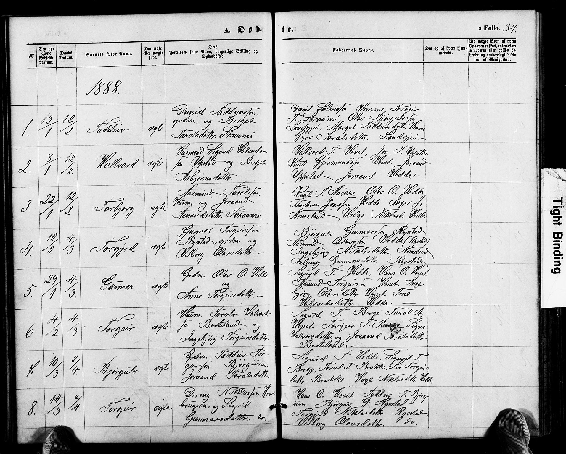 Valle sokneprestkontor, SAK/1111-0044/F/Fb/Fbb/L0002: Parish register (copy) no. B 2, 1875-1921, p. 34
