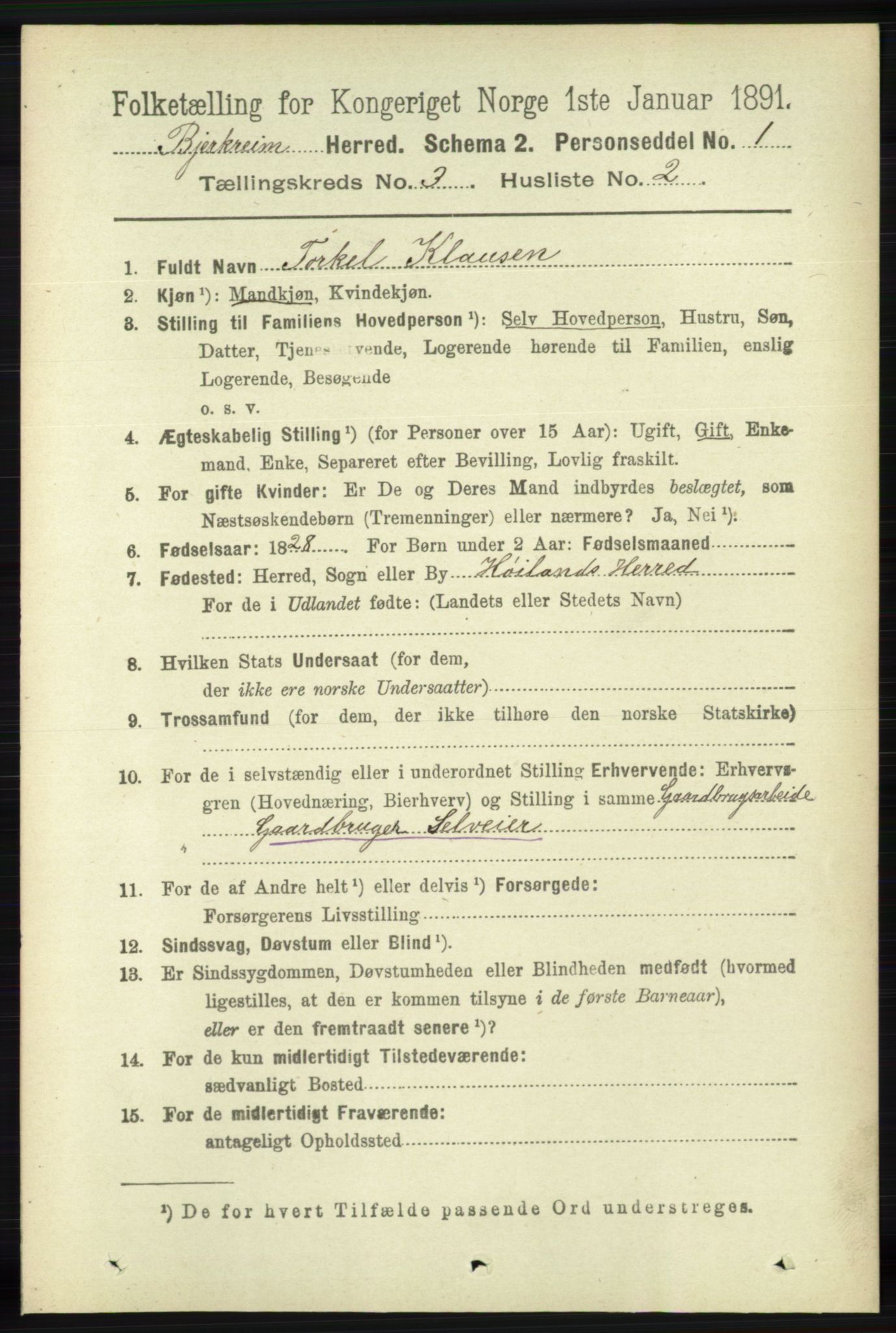 RA, 1891 census for 1114 Bjerkreim, 1891, p. 899