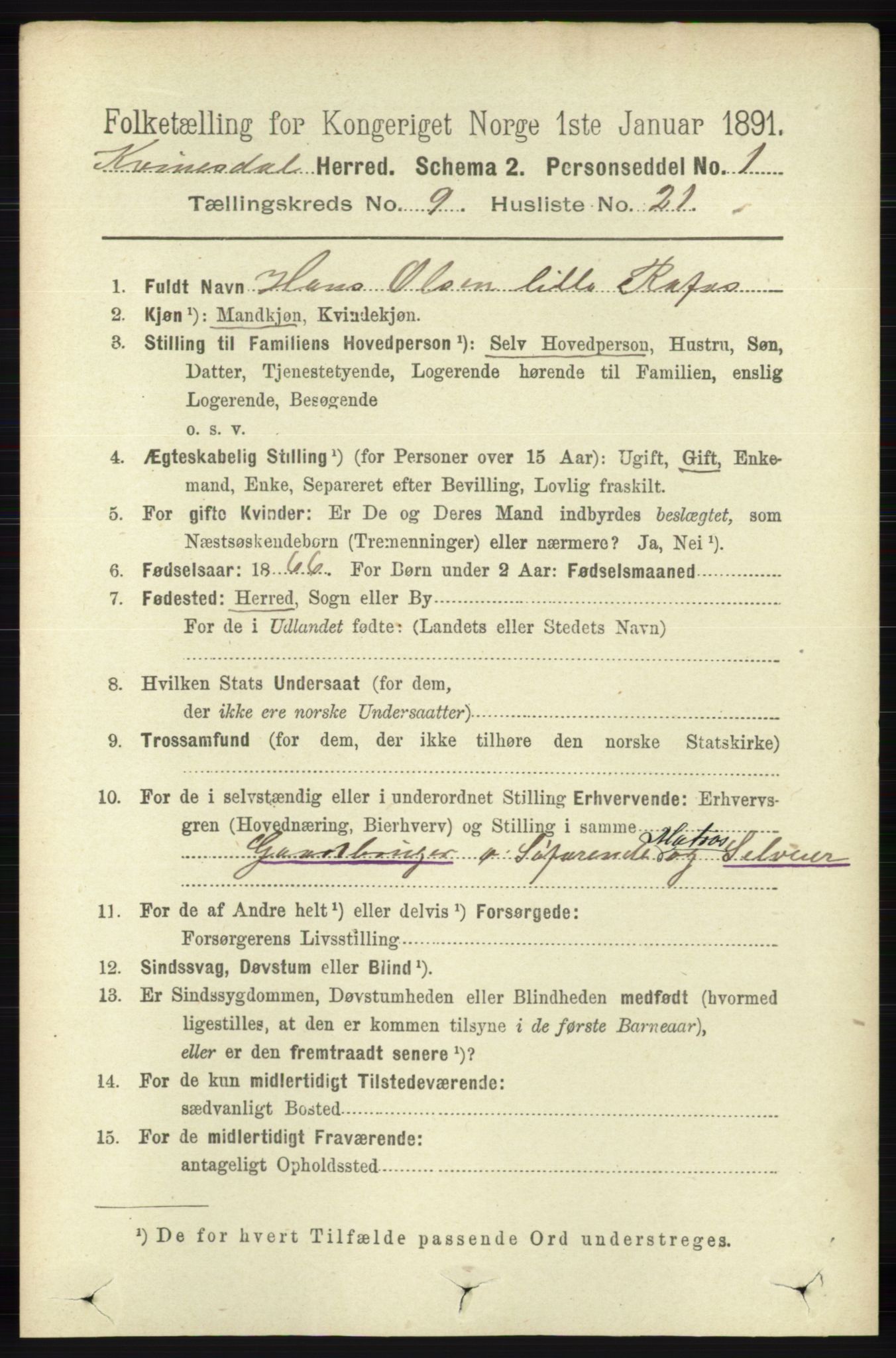 RA, 1891 census for 1037 Kvinesdal, 1891, p. 3394