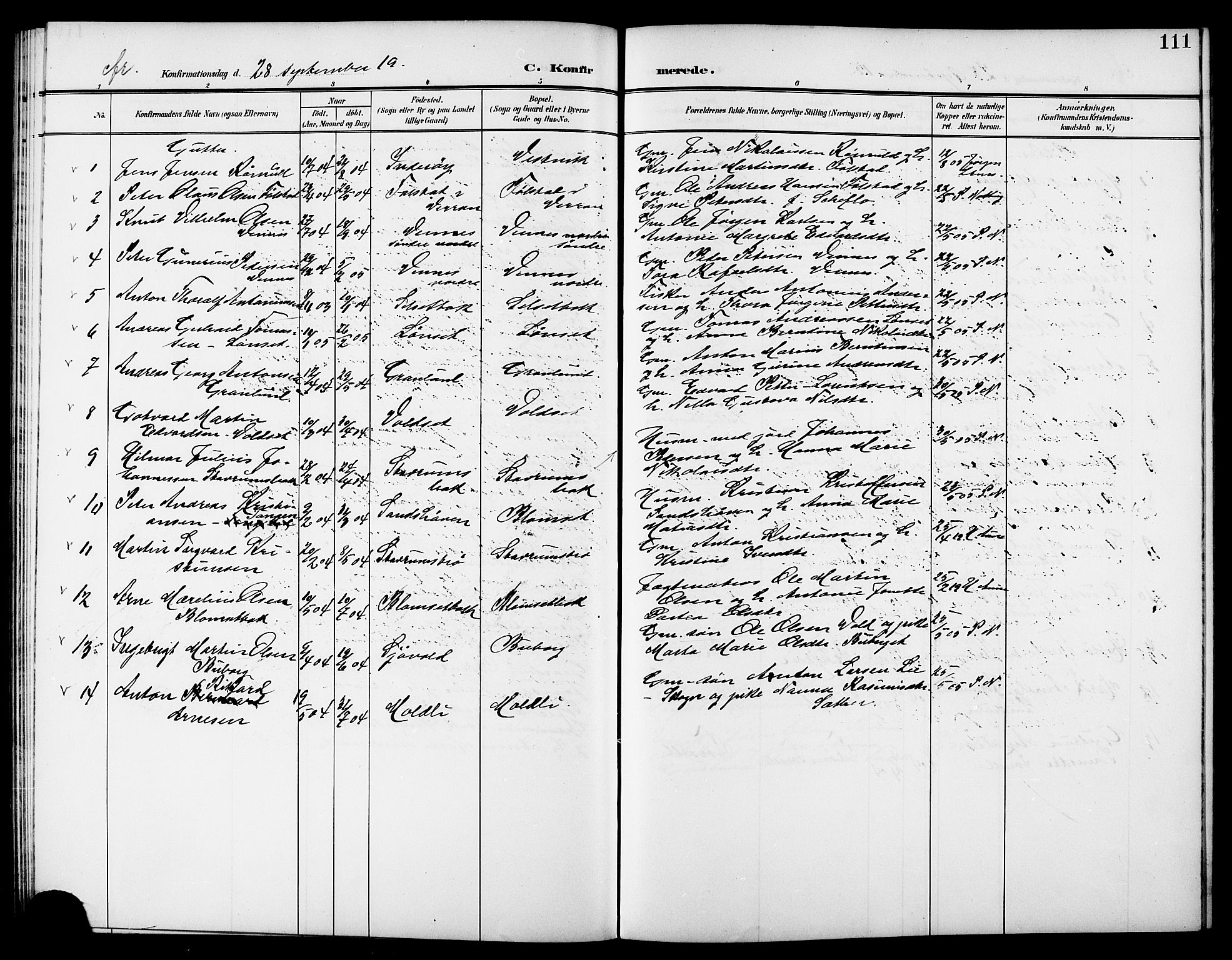 Ministerialprotokoller, klokkerbøker og fødselsregistre - Nord-Trøndelag, AV/SAT-A-1458/744/L0424: Parish register (copy) no. 744C03, 1906-1923, p. 111