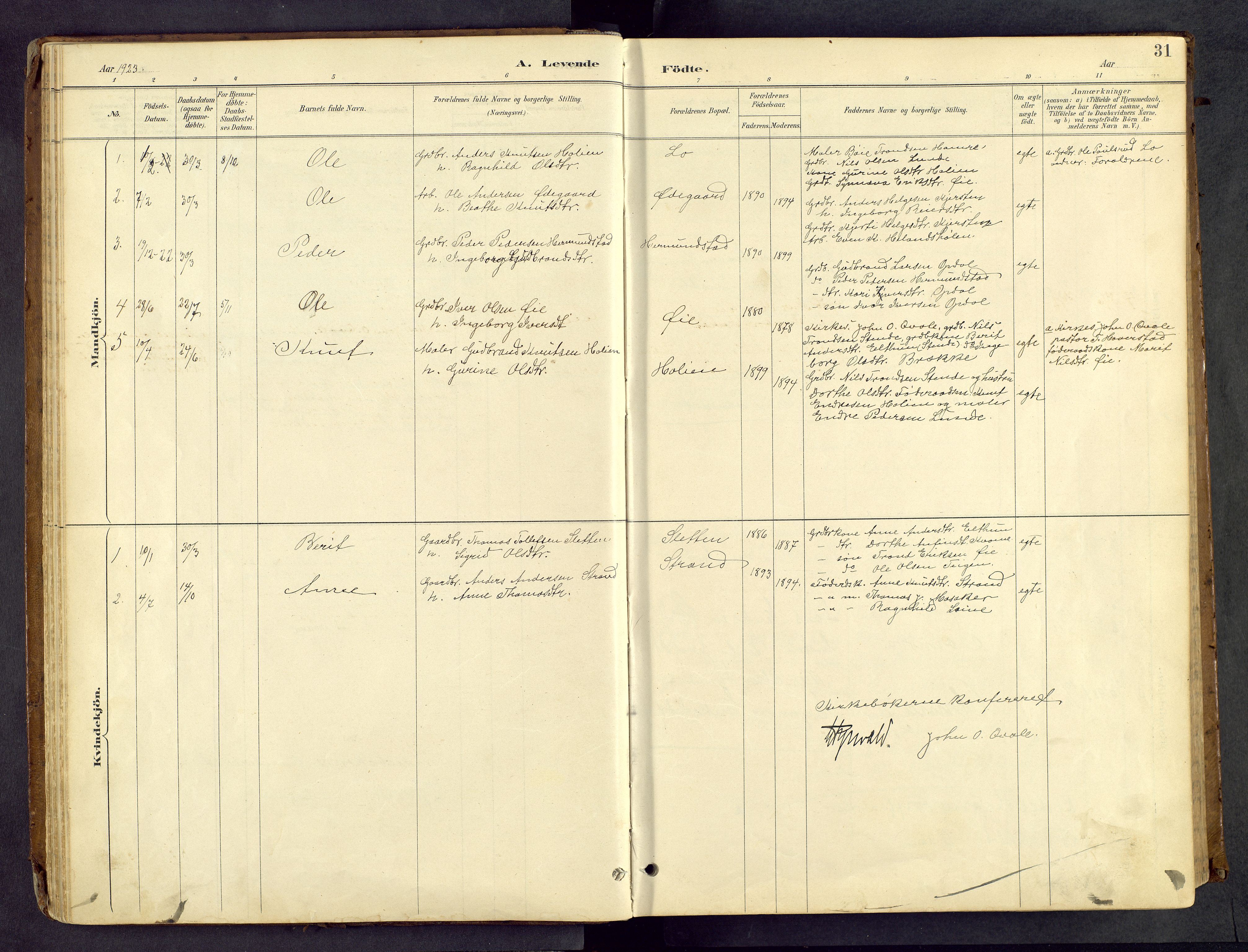 Vang prestekontor, Valdres, SAH/PREST-140/H/Hb/L0005: Parish register (copy) no. 5, 1889-1945, p. 31