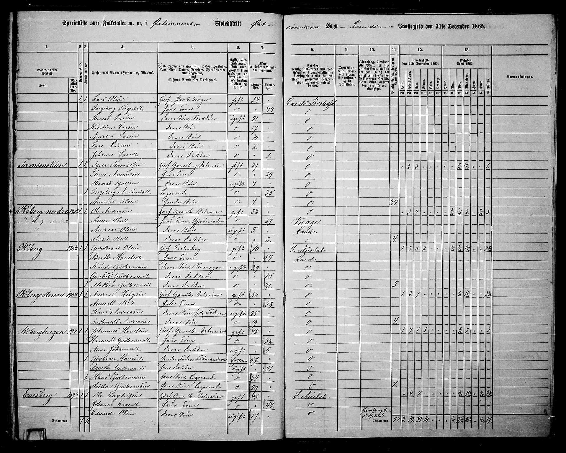 RA, 1865 census for Land, 1865, p. 194