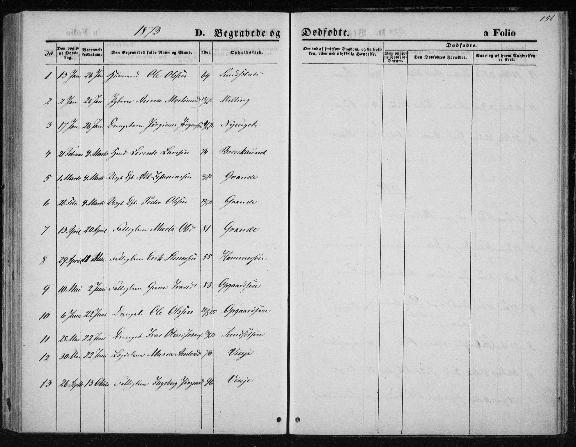 Ministerialprotokoller, klokkerbøker og fødselsregistre - Nord-Trøndelag, SAT/A-1458/733/L0324: Parish register (official) no. 733A03, 1870-1883, p. 156
