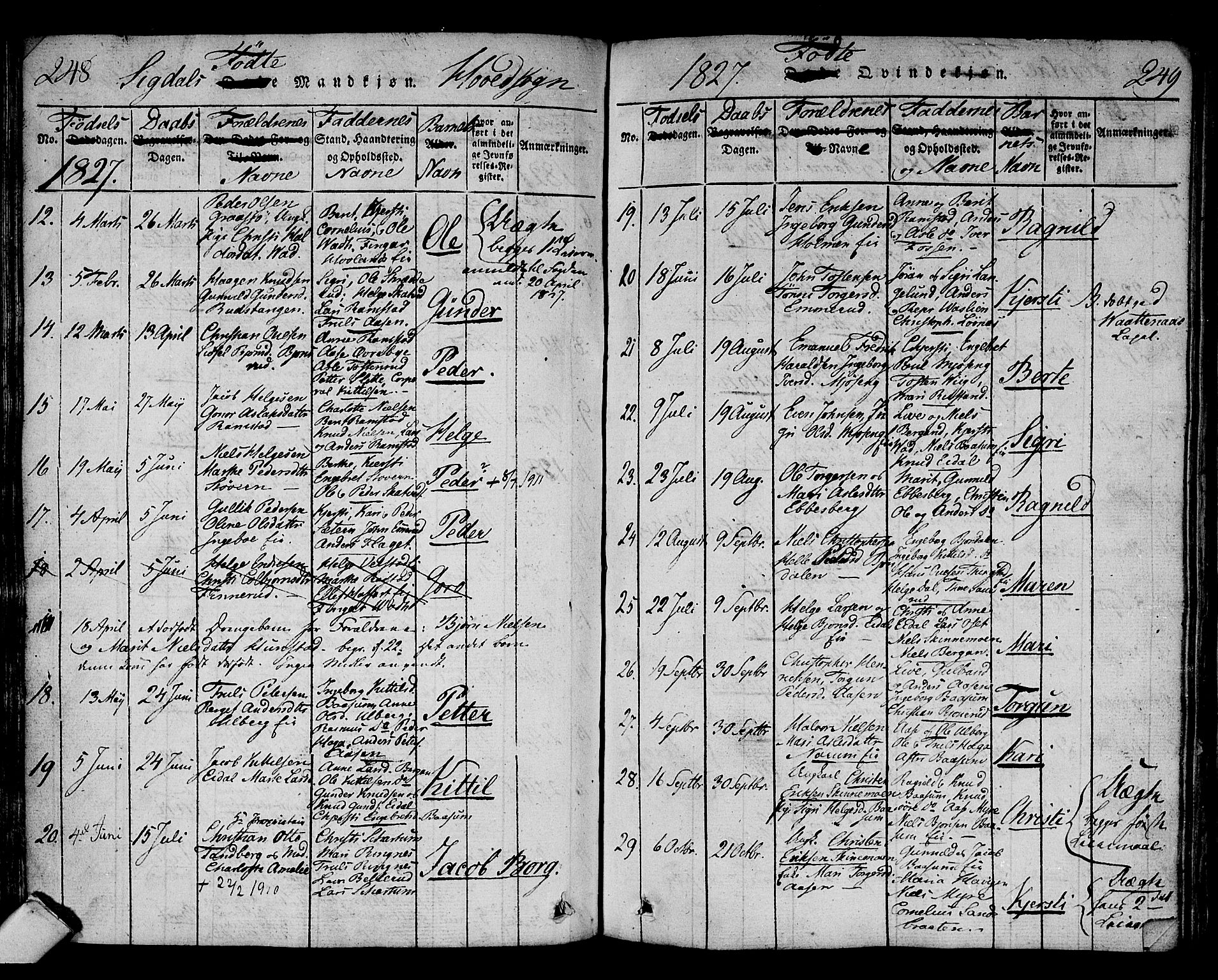 Sigdal kirkebøker, AV/SAKO-A-245/F/Fa/L0005: Parish register (official) no. I 5 /1, 1815-1829, p. 248-249