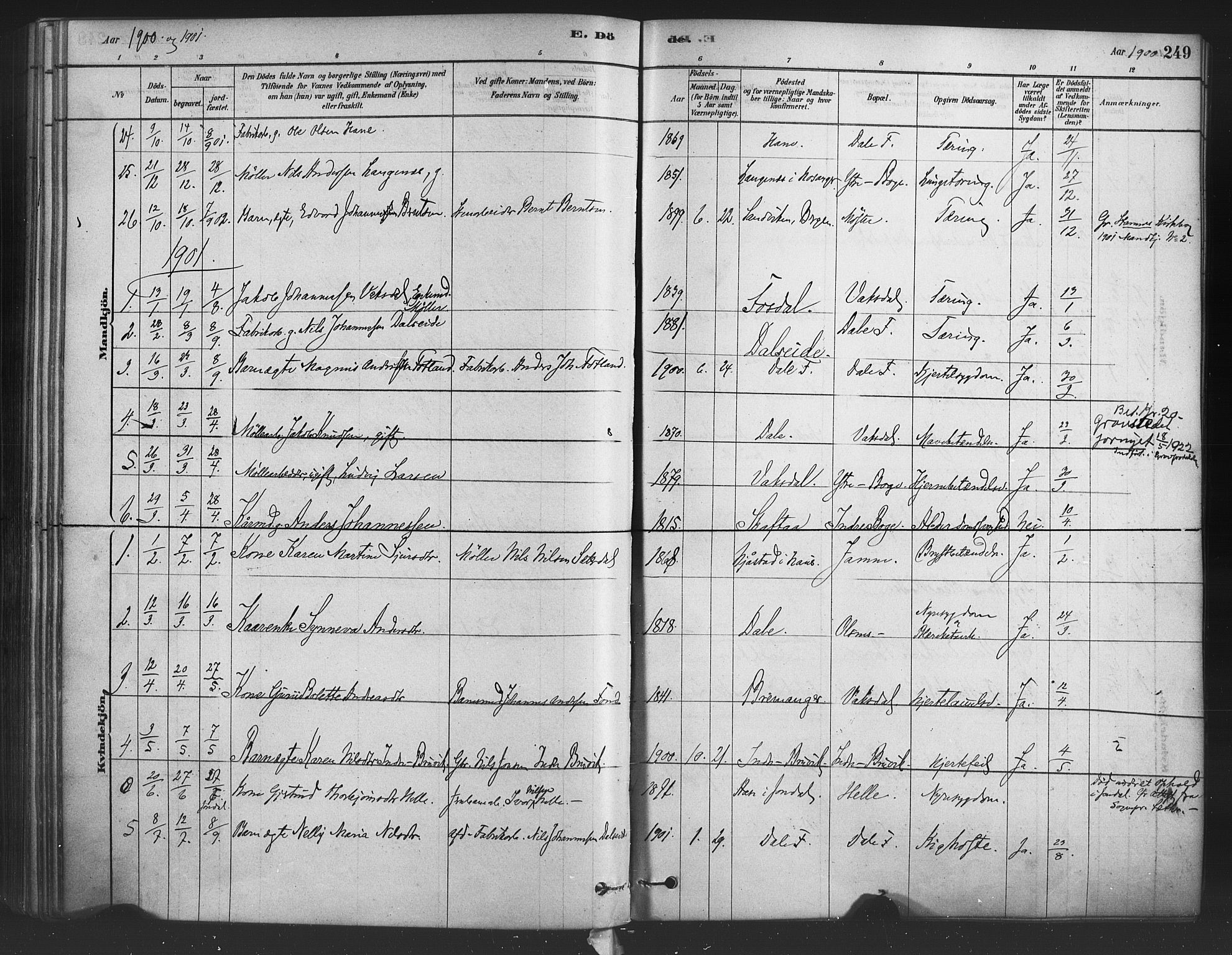 Bruvik Sokneprestembete, AV/SAB-A-74701/H/Haa: Parish register (official) no. B 1, 1878-1904, p. 249