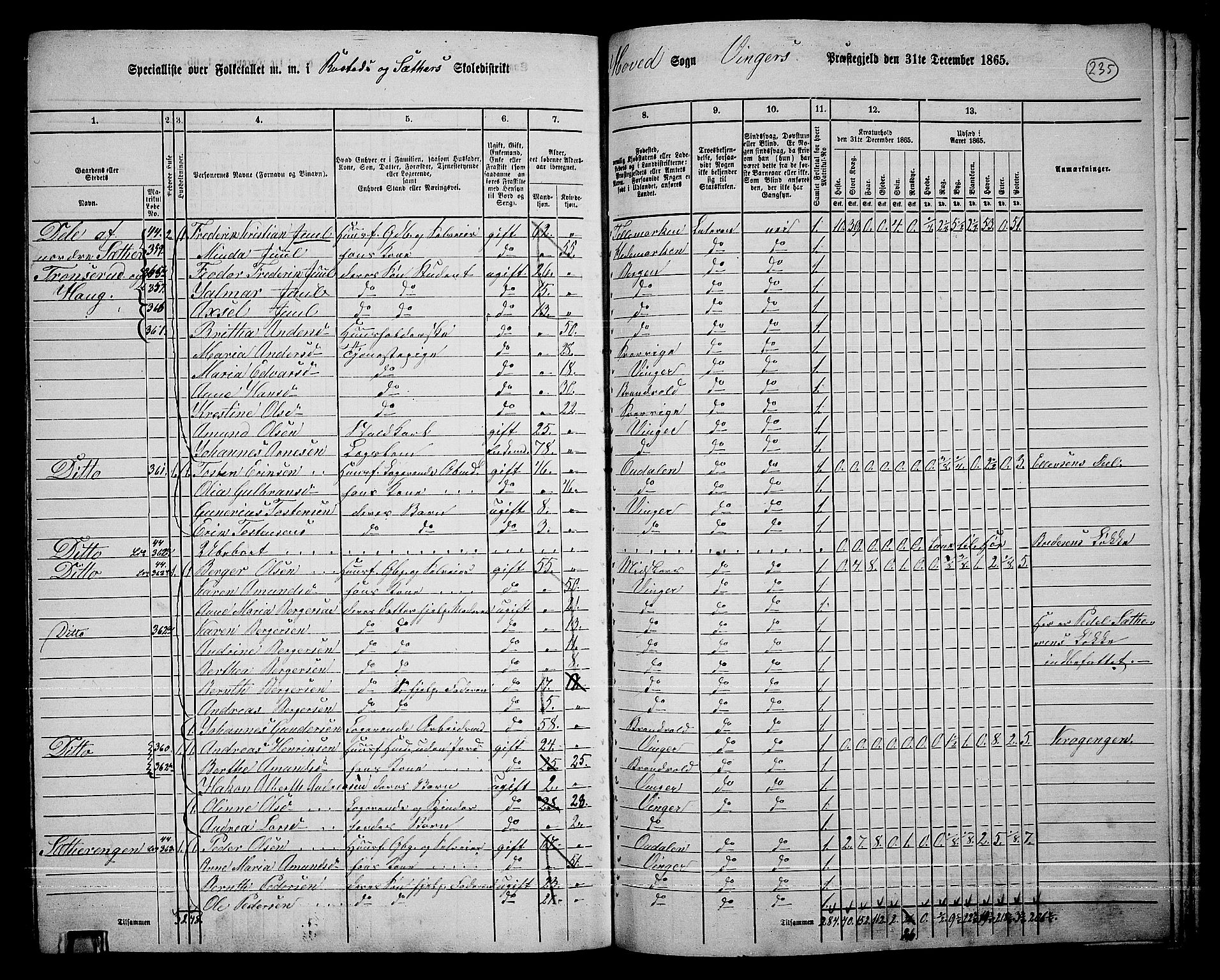 RA, 1865 census for Vinger/Vinger og Austmarka, 1865, p. 215