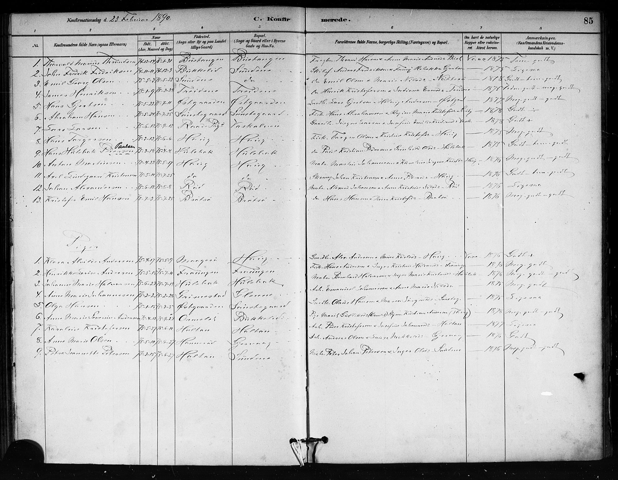 Tjøme kirkebøker, SAKO/A-328/F/Fa/L0001: Parish register (official) no. 1, 1879-1890, p. 85