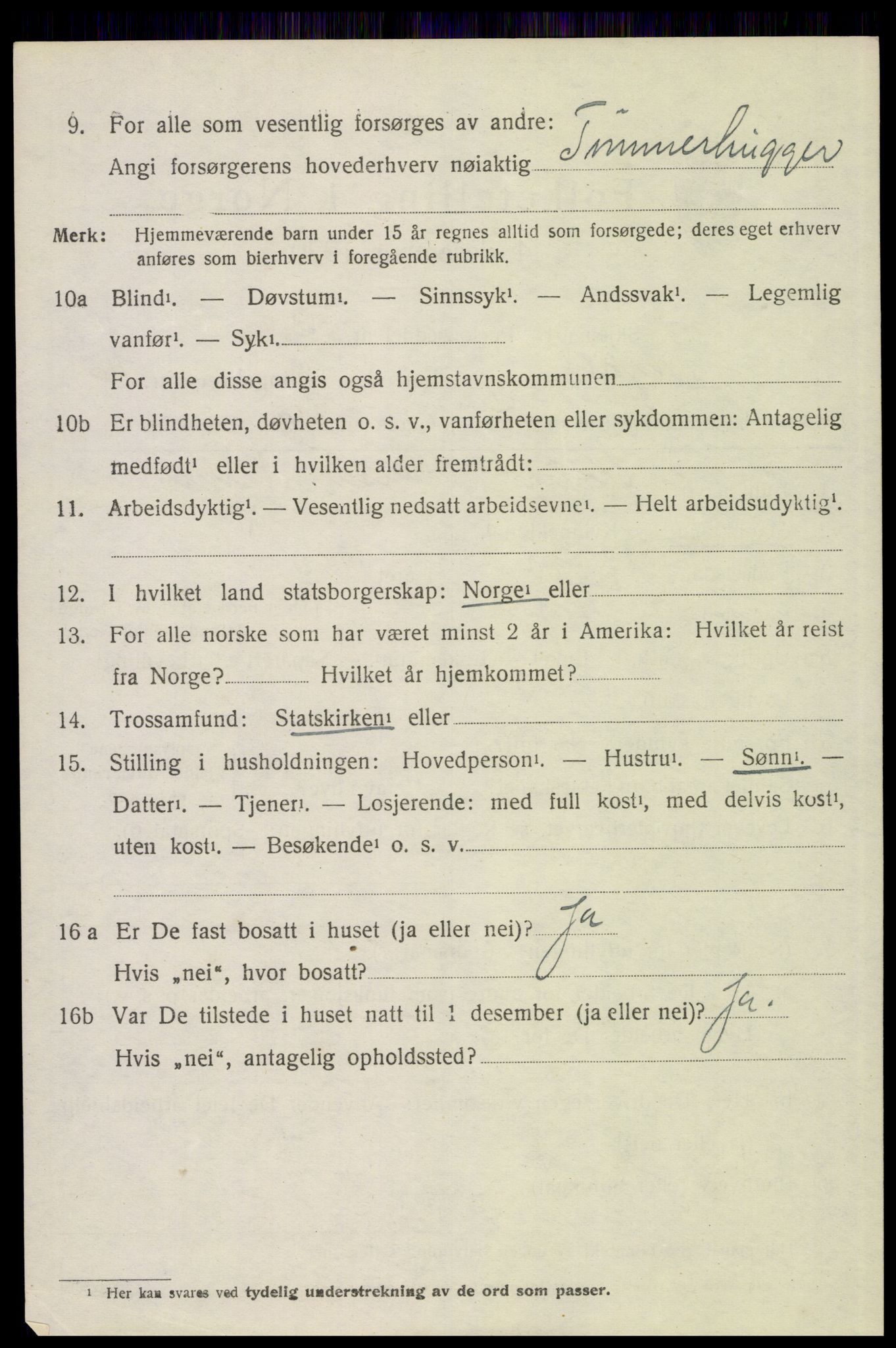 SAH, 1920 census for Trysil, 1920, p. 9486