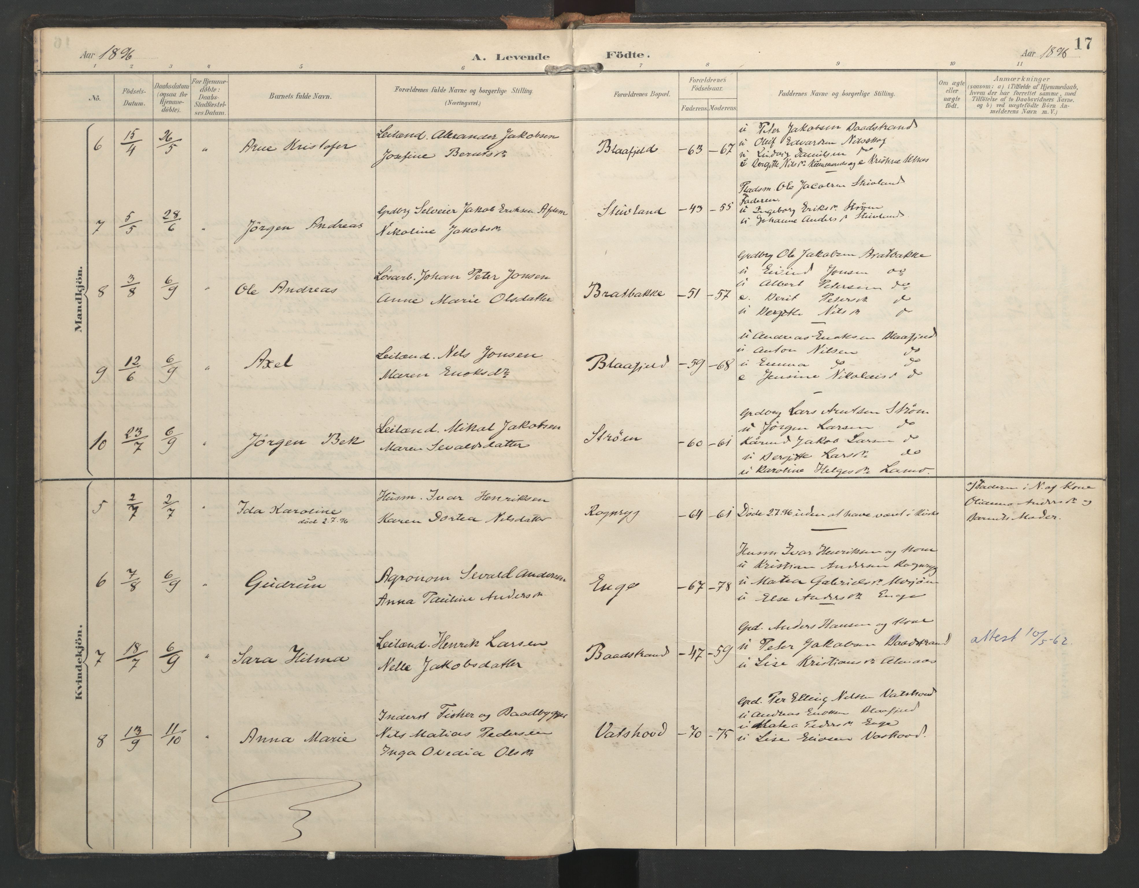 Ministerialprotokoller, klokkerbøker og fødselsregistre - Nordland, SAT/A-1459/821/L0317: Parish register (official) no. 821A01, 1892-1907, p. 17